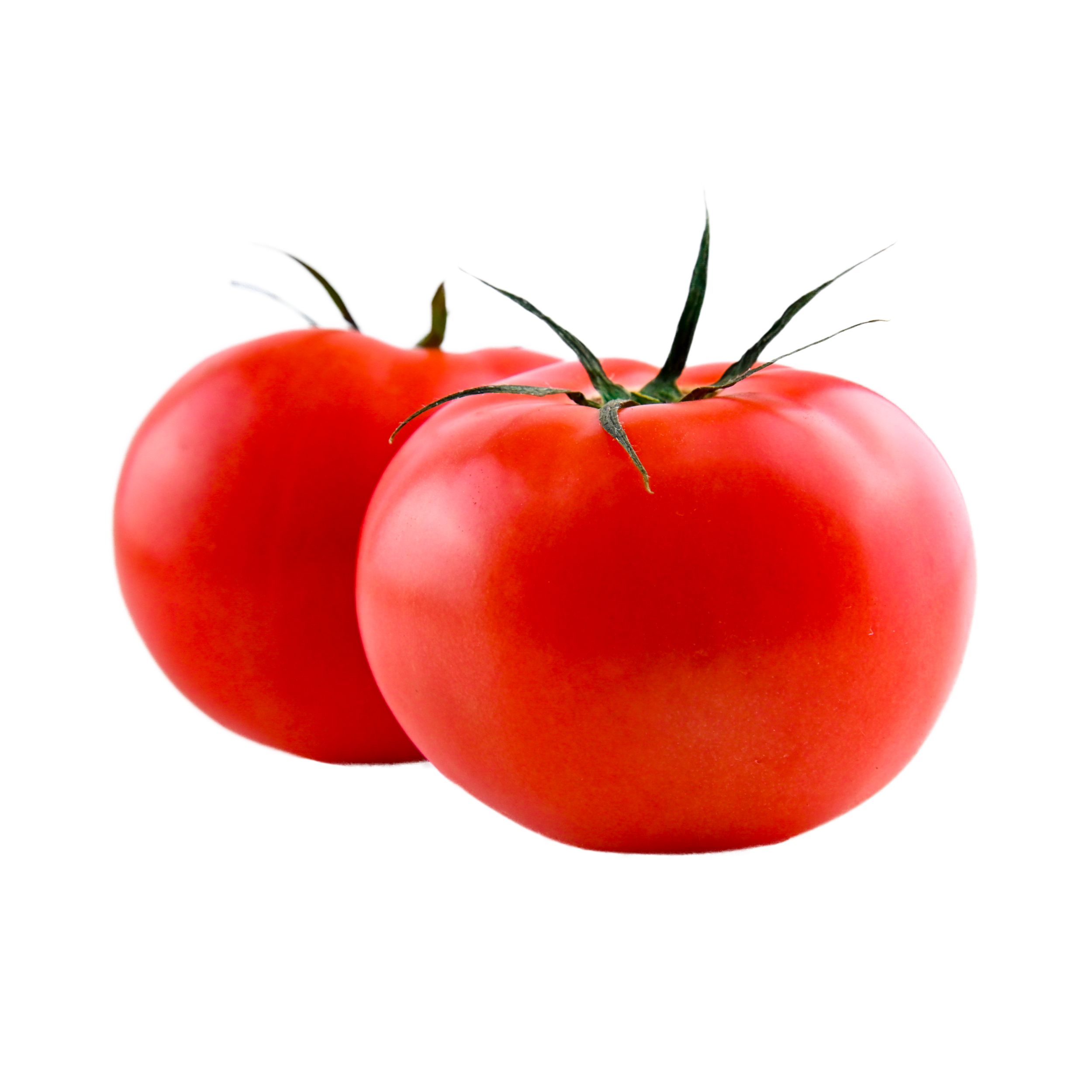 Tomato Vegetable Soup