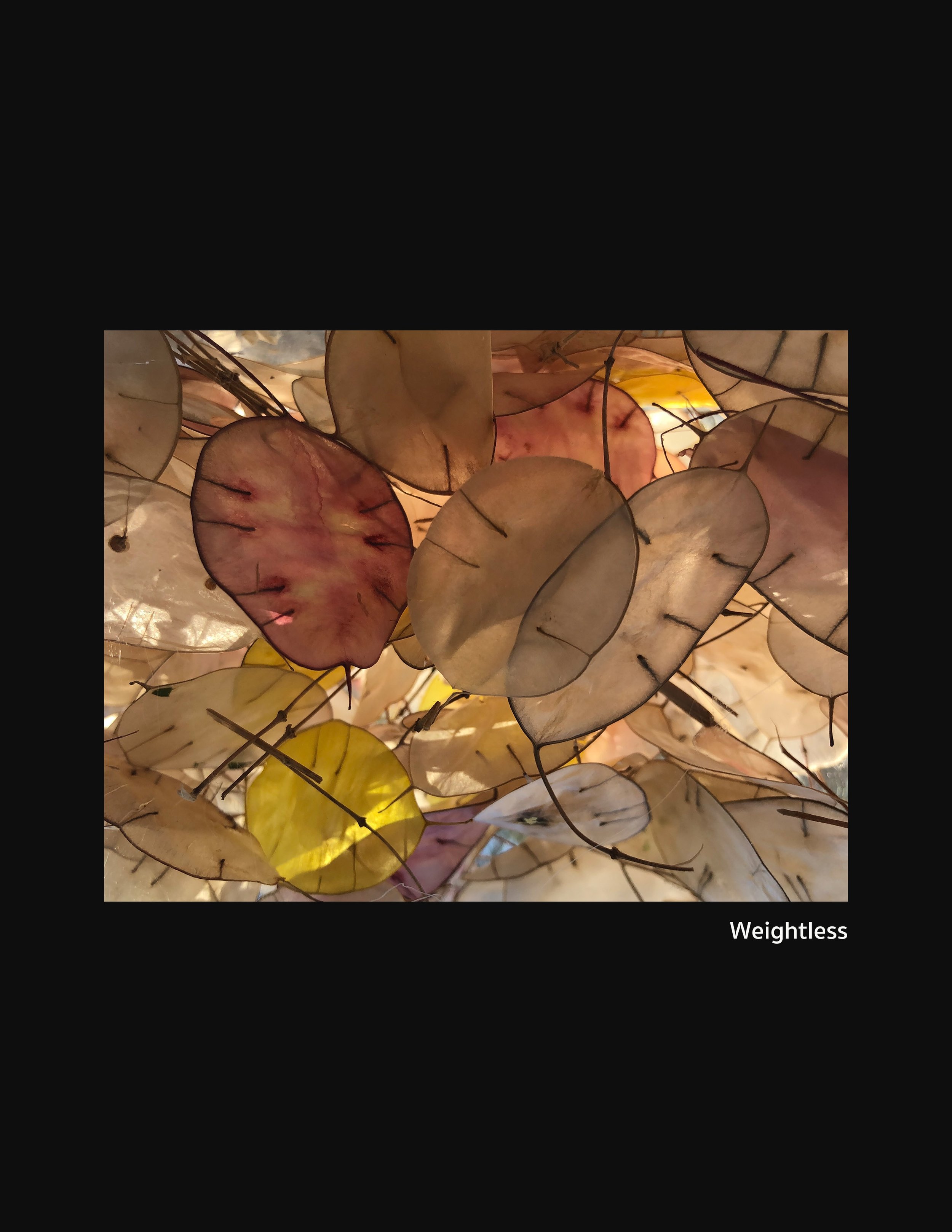 Weightless_UnderTheInfluenceOfTheMoonTitled:Untitled.jpg