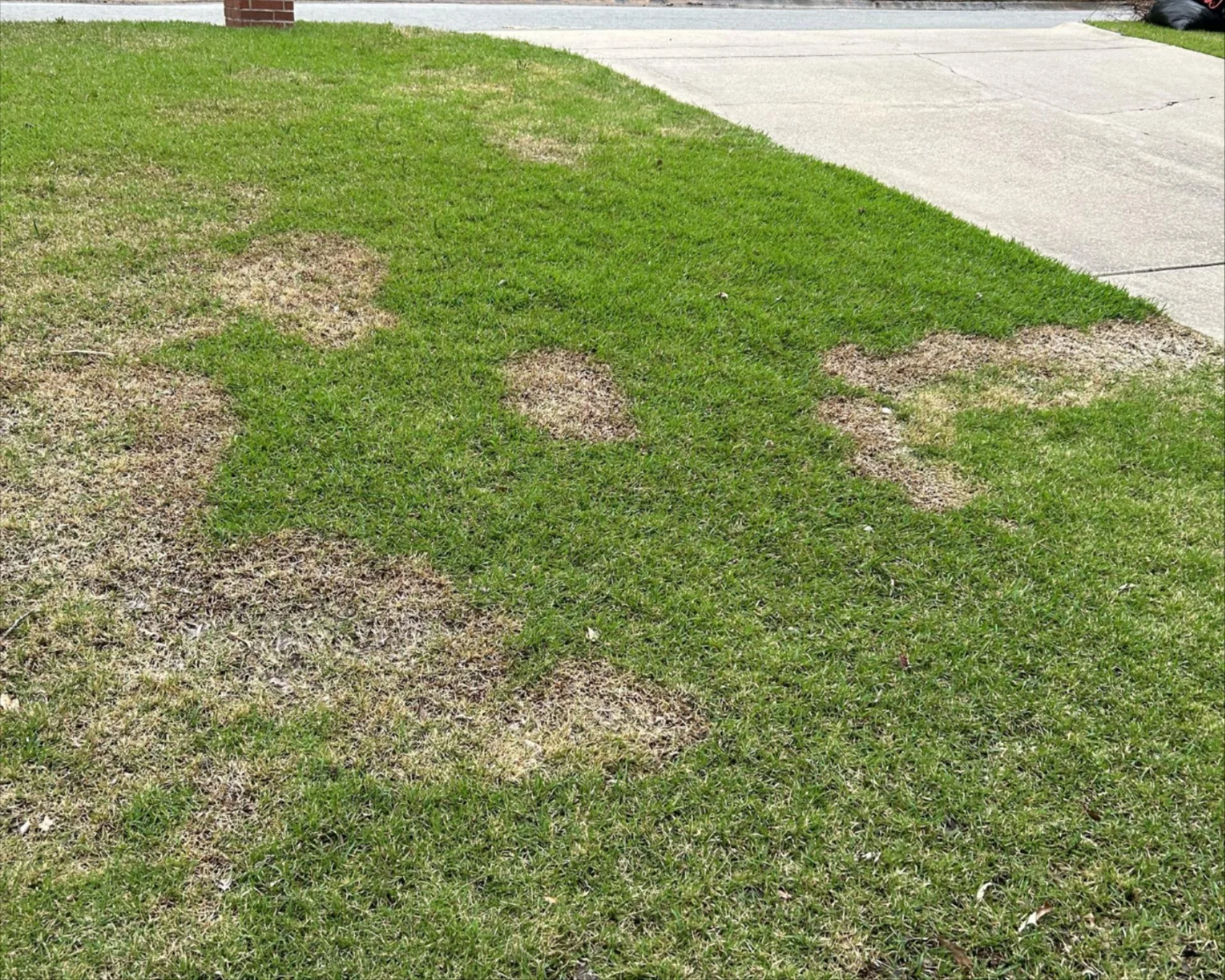 Spring Dead Spot 2.jpeg