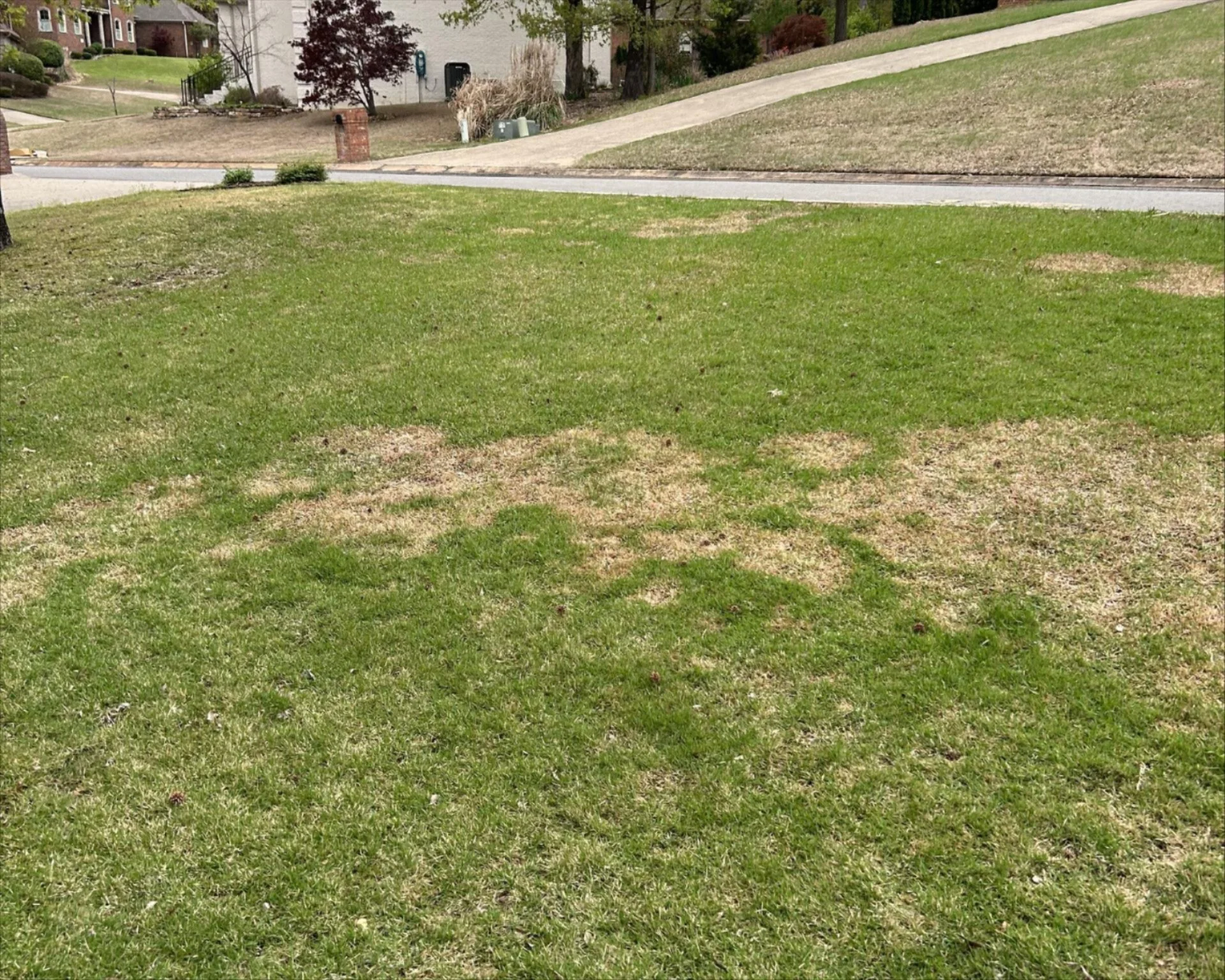 Spring Dead Spot 1.jpeg