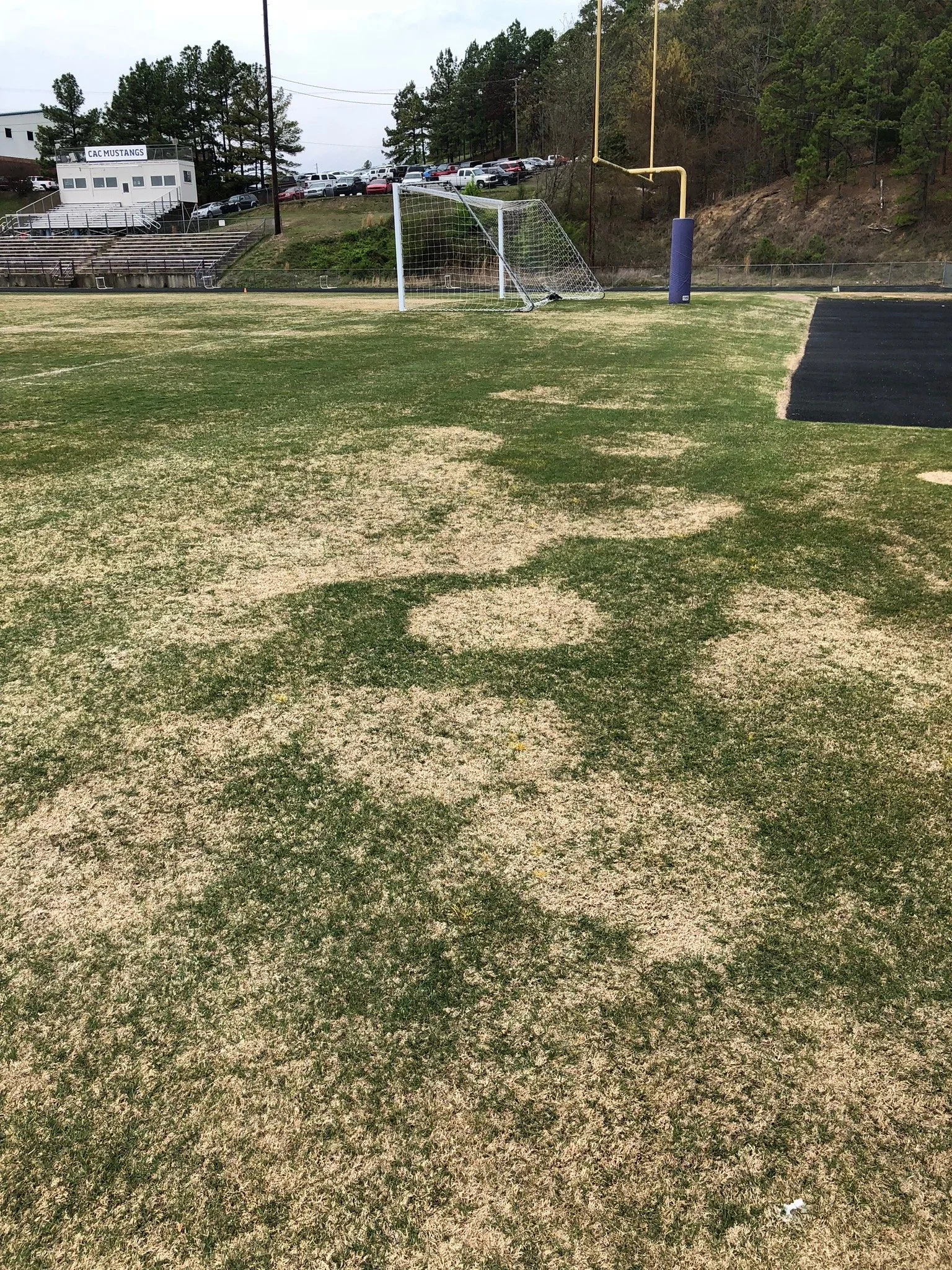 Spring Dead Spot.jpeg