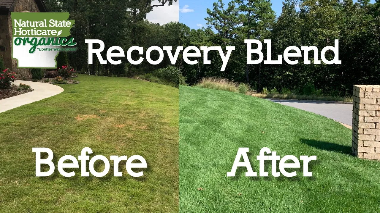 Recovery Blend
