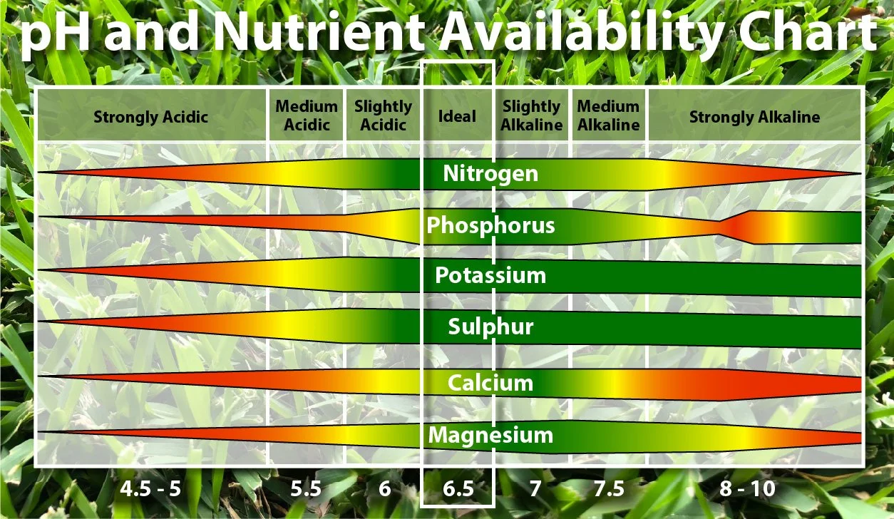 Potassium & Phosphorus: