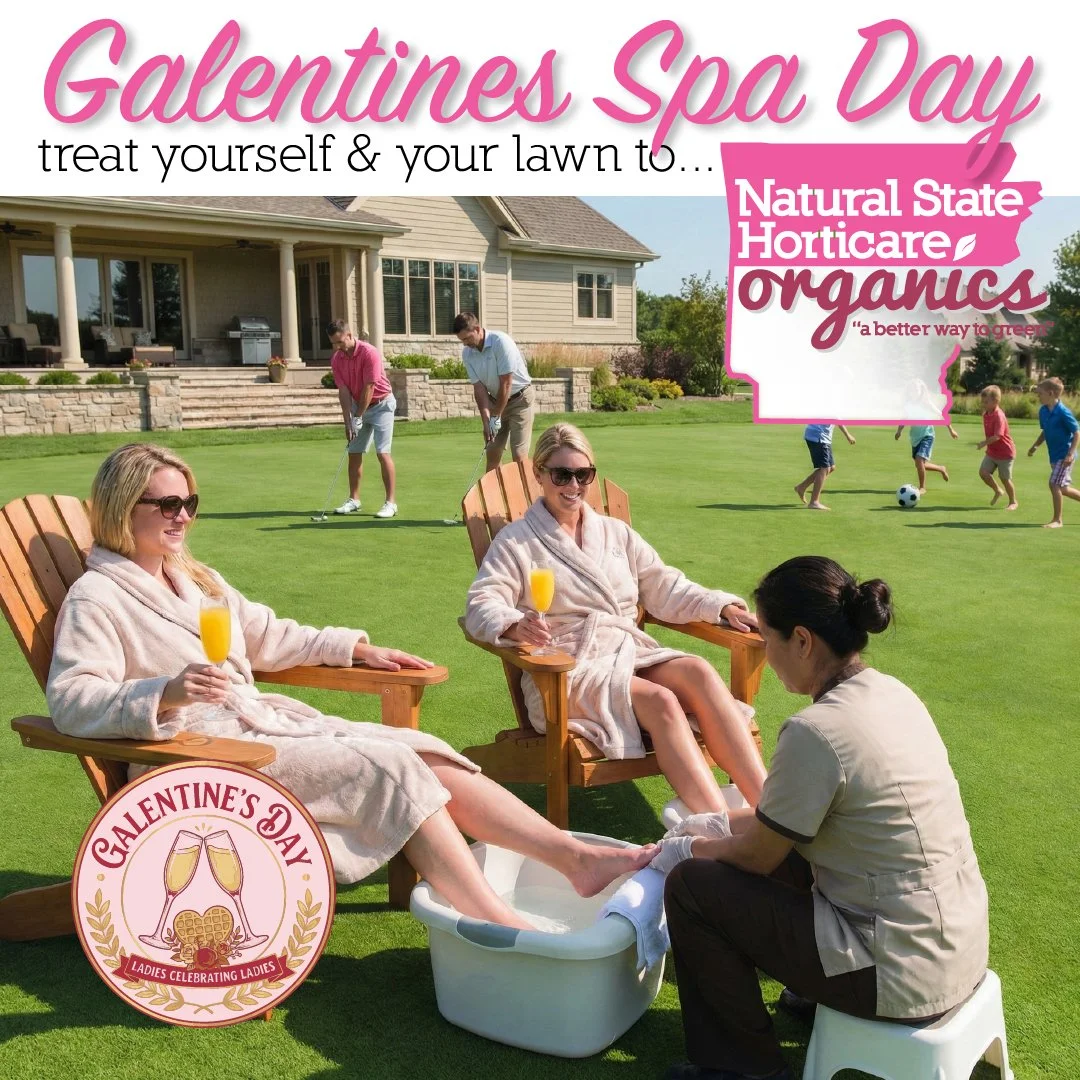 Galentine&rsquo;s Spa Day&hellip; for You and Your Lawn
Who says self-care has to stop at the spa?
This playful (and yes, AI-generated 😉) scene captures the ultimate Galentine&rsquo;s vibe. Pedicures. Mimosas. Lounging in the backyard. Kids running 
