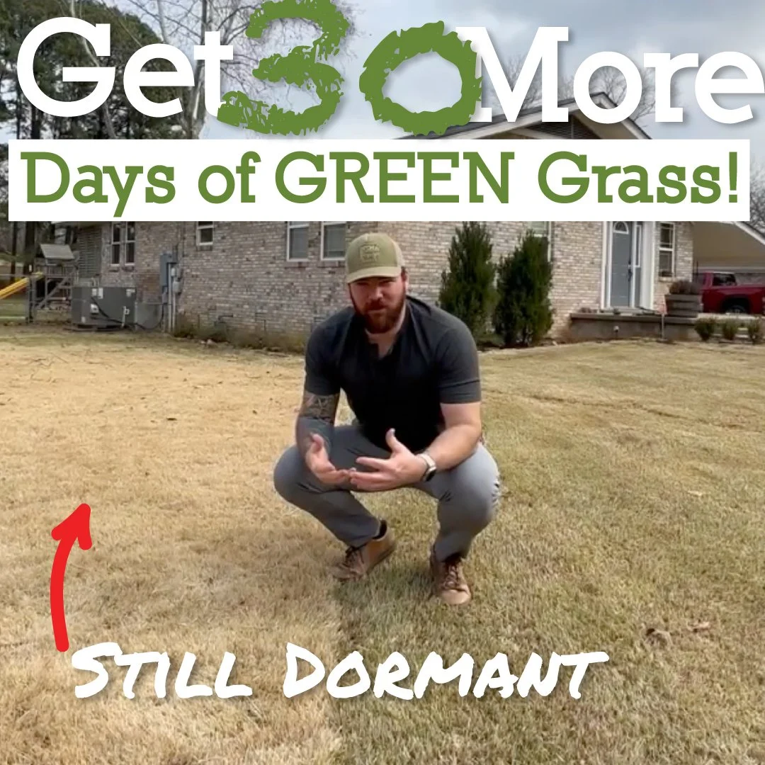 If you have warm-season turf like Bermuda or Zoysia, this might be the most important mow of the entire year.
In this instructional video, I walk you step-by-step through how to properly perform a Spring Low Mow, sometimes called a scalp. When timed 