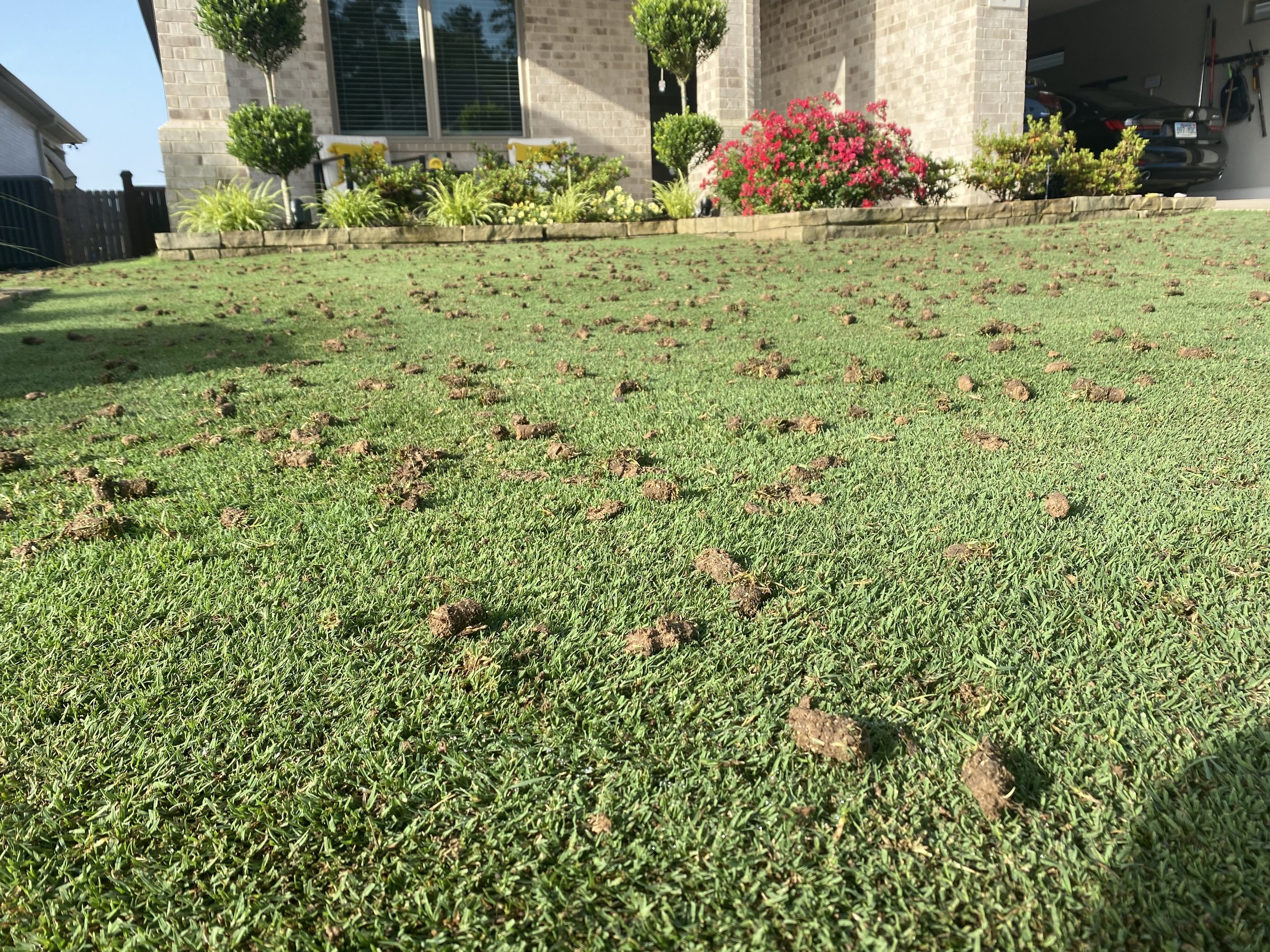 Combating Compaction (core aeration)