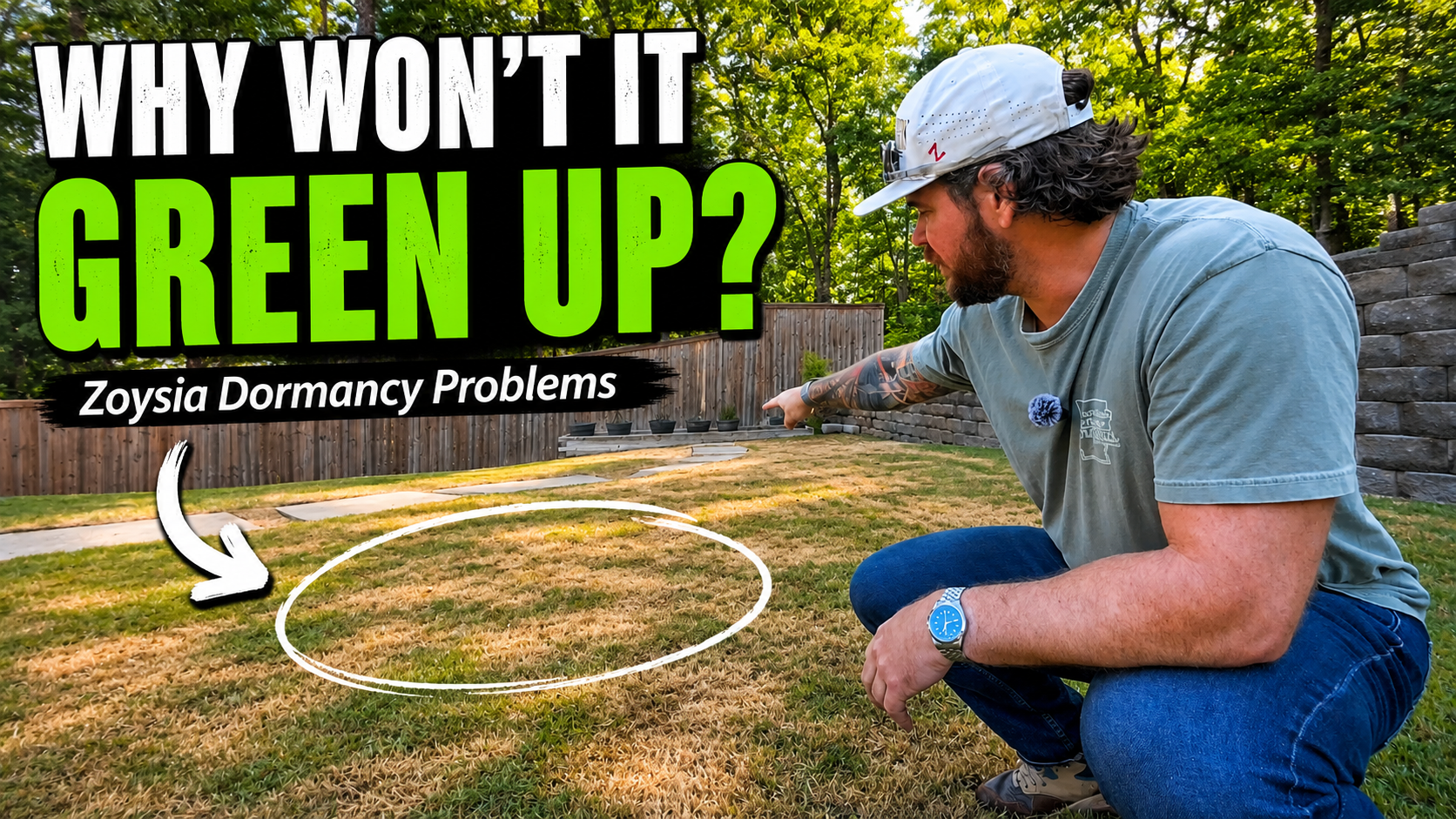 Why Won’t My Lawn Green Up?