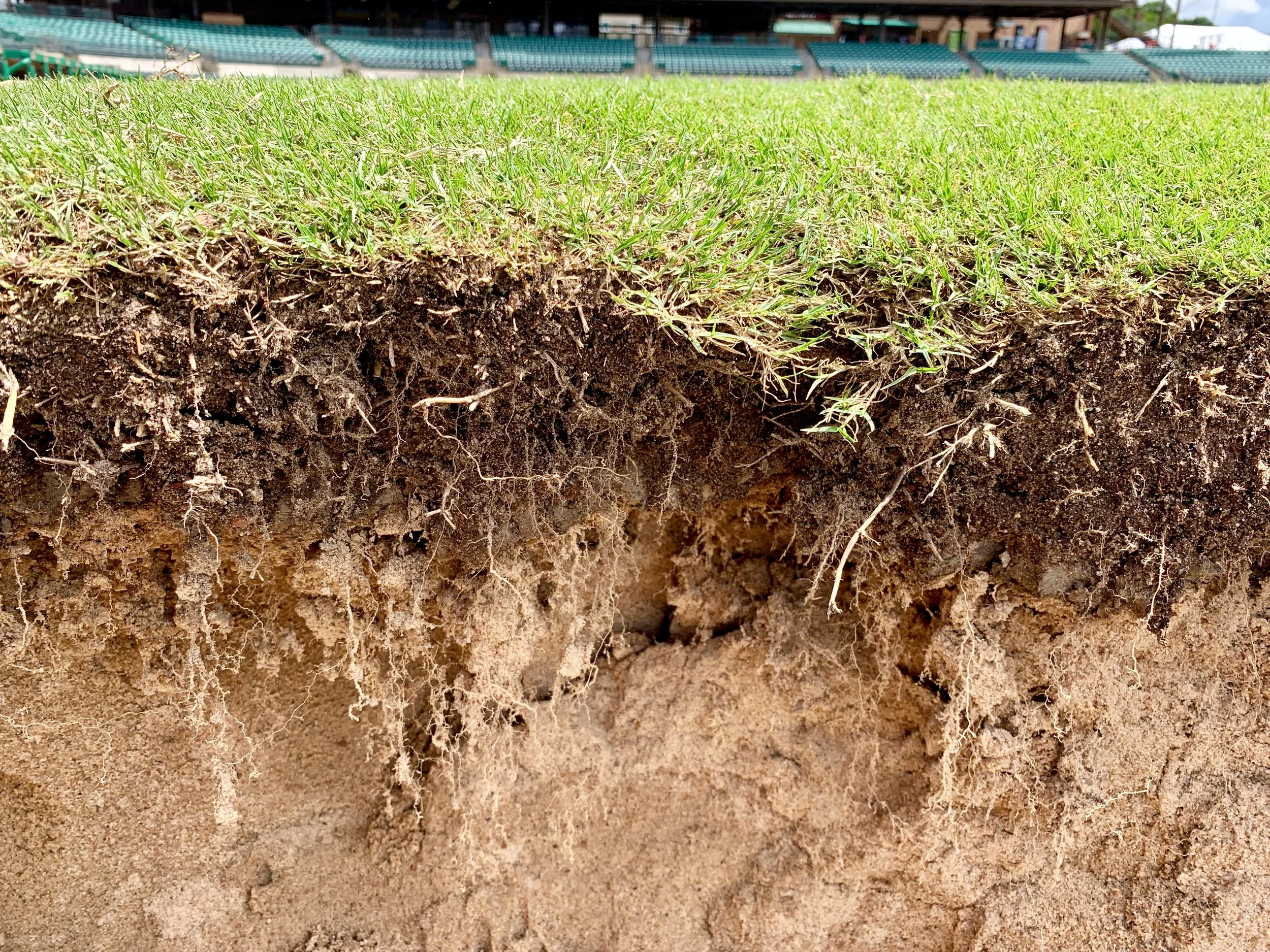 They Forgot the Soil