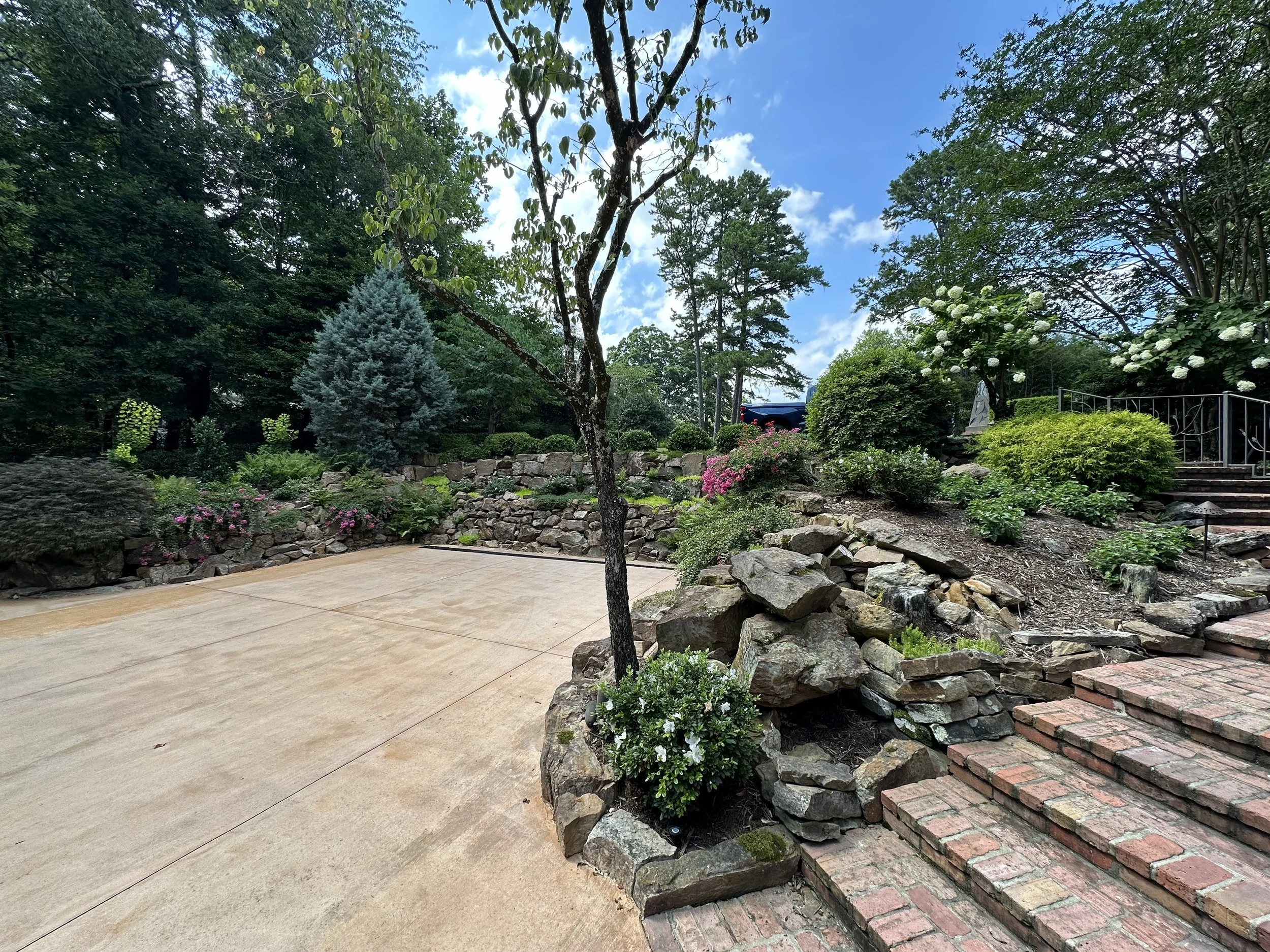 Elevated Ornamental Care