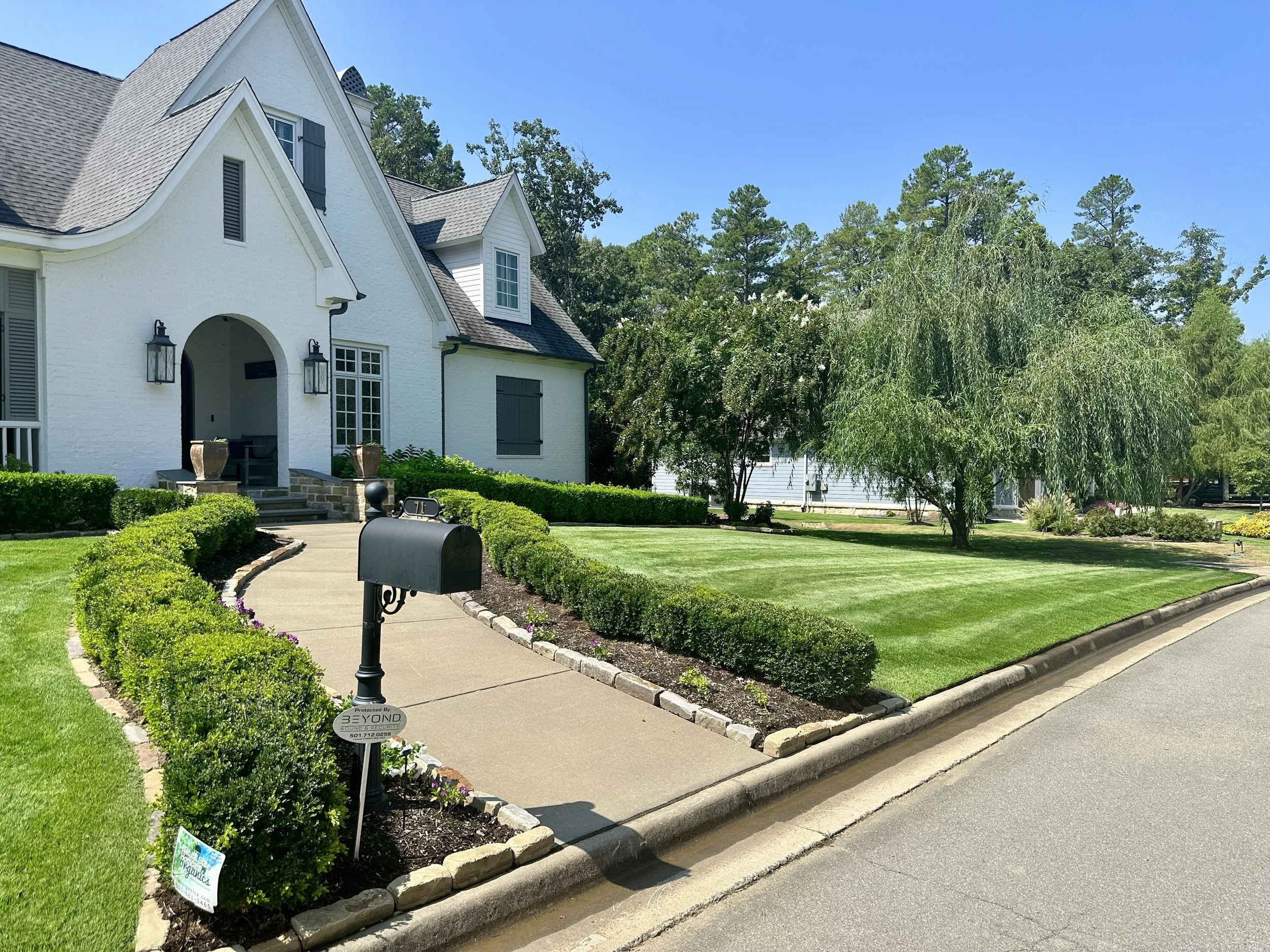 Zoysia Care Guide