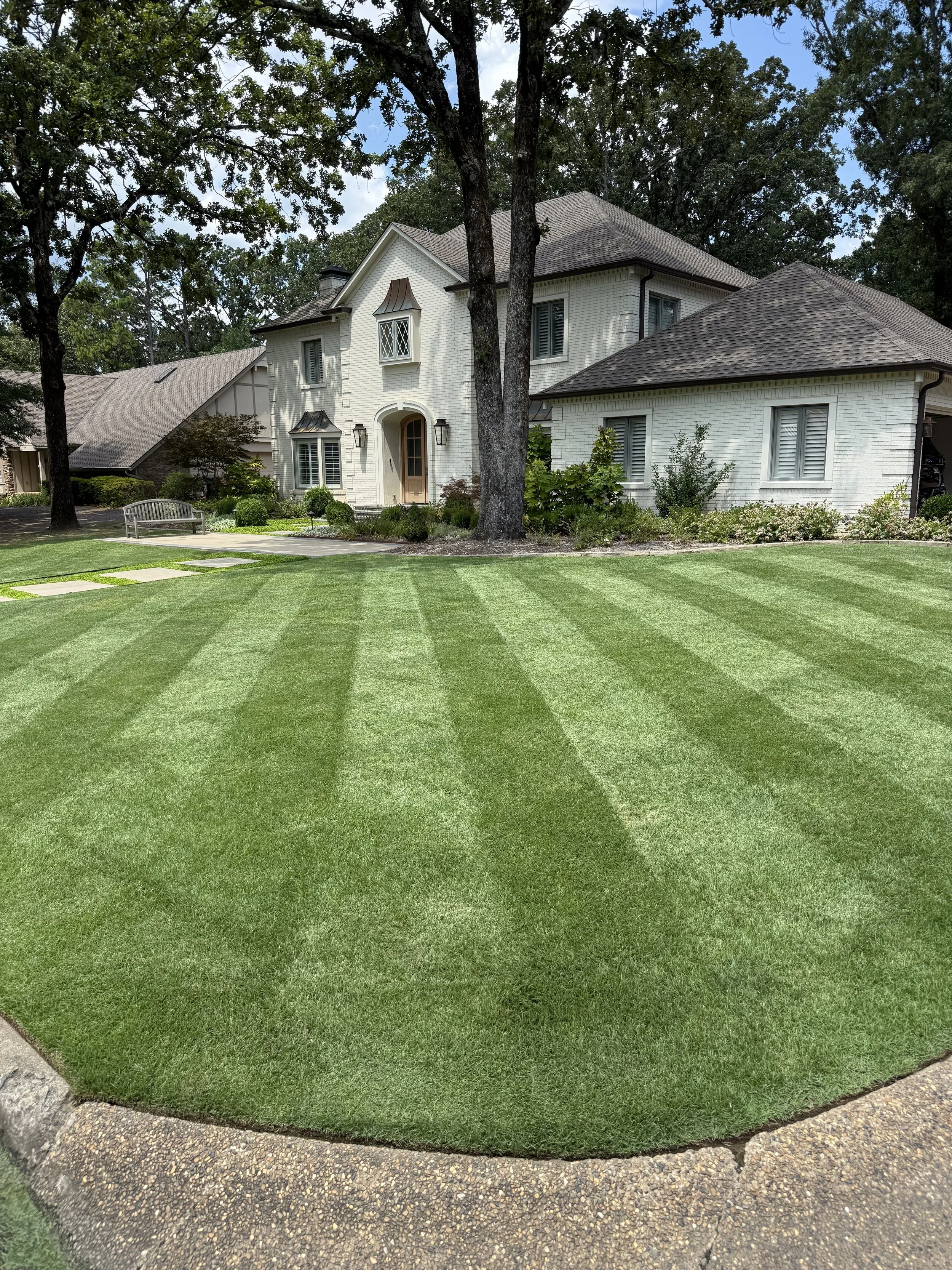 Lawn Perfection