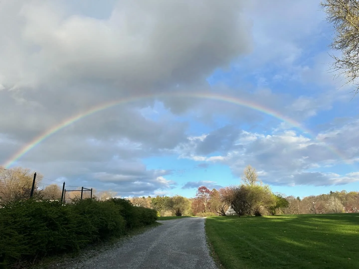 Have a magical weekend!! 🌈✨ #rainbow #nature #magic #goodvibes #channel #energy #alchemy #special #joy #freedom #expansion #trust #adventure