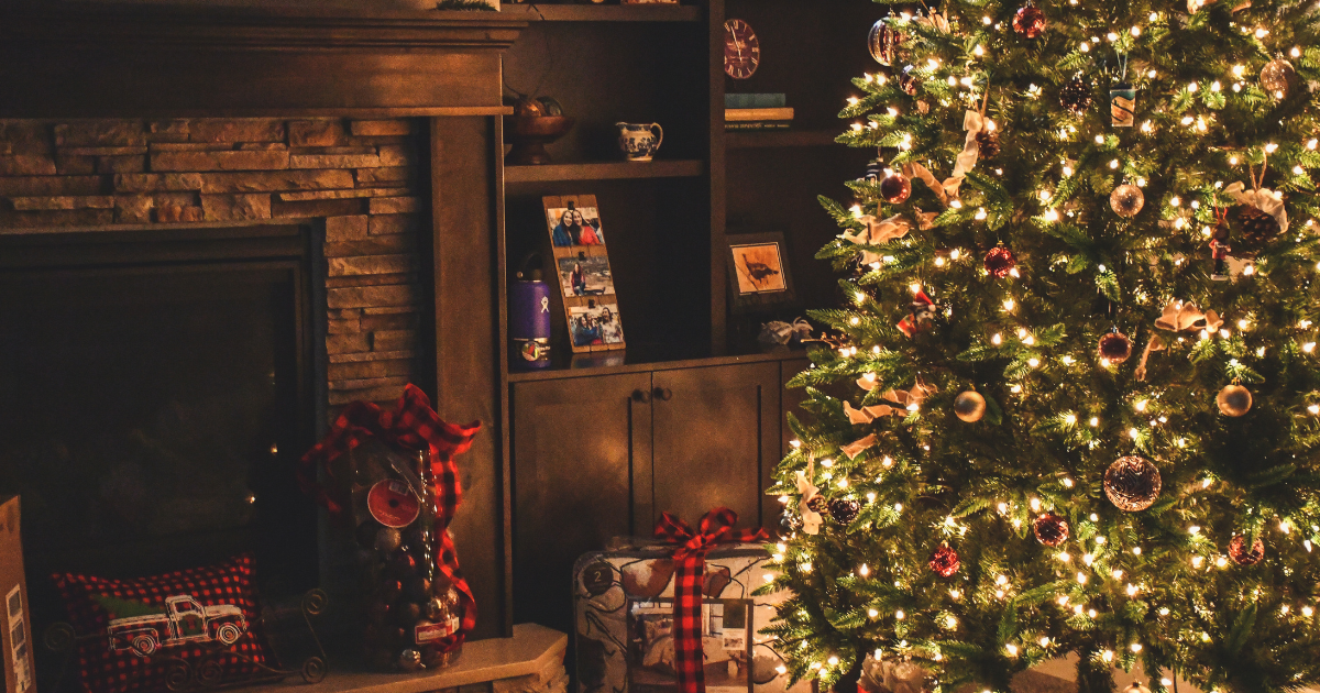 Where to Cut or Buy a Christmas Tree Across the South Shore