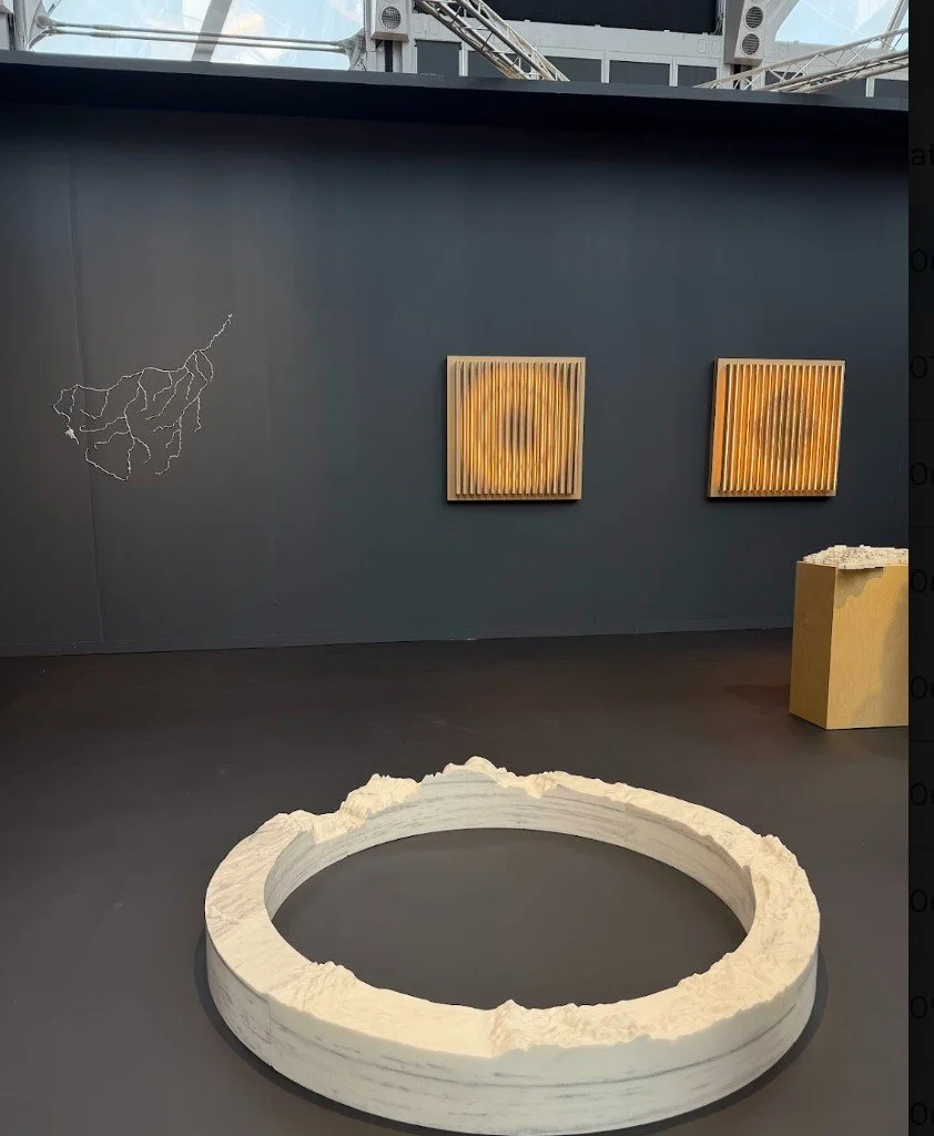 Pace Gallery booth Maya Lin Leo Villareal Frieze