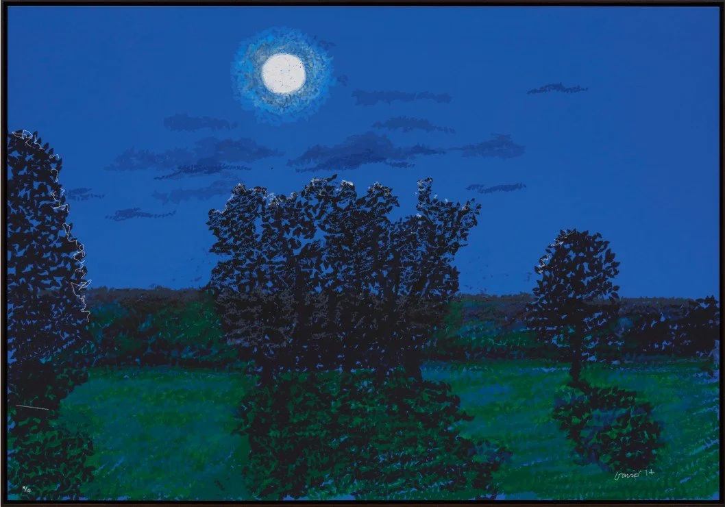 David Hockney, Moon Room iPad painting, night sky, Pace Gallery New York 2026