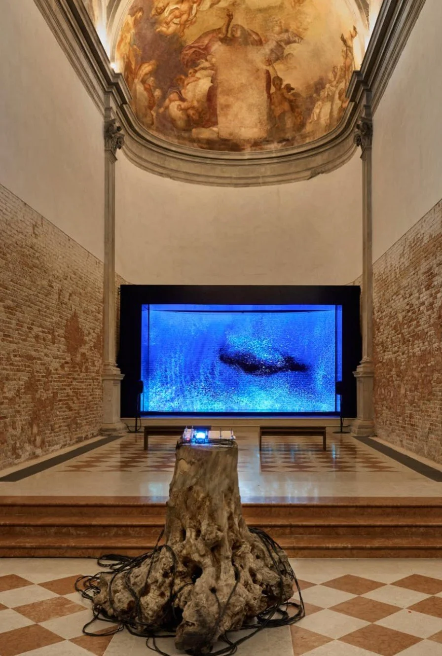 Elnara Nasirli, Whispering Forest, tree installation, La Biennale di Venezia 2026, Ex Church Santi Cosma e Damiano