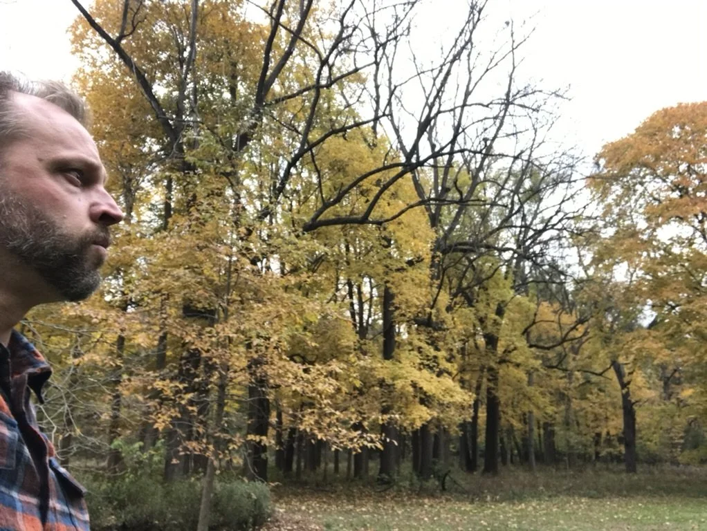 Trees are Property Heroes