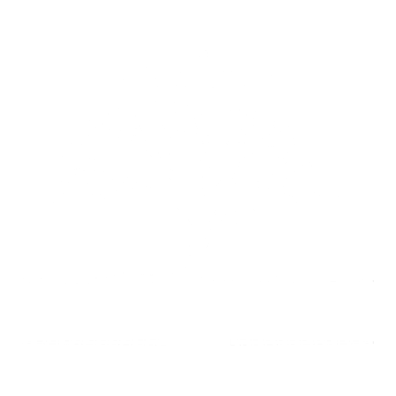 Valley Tree Services