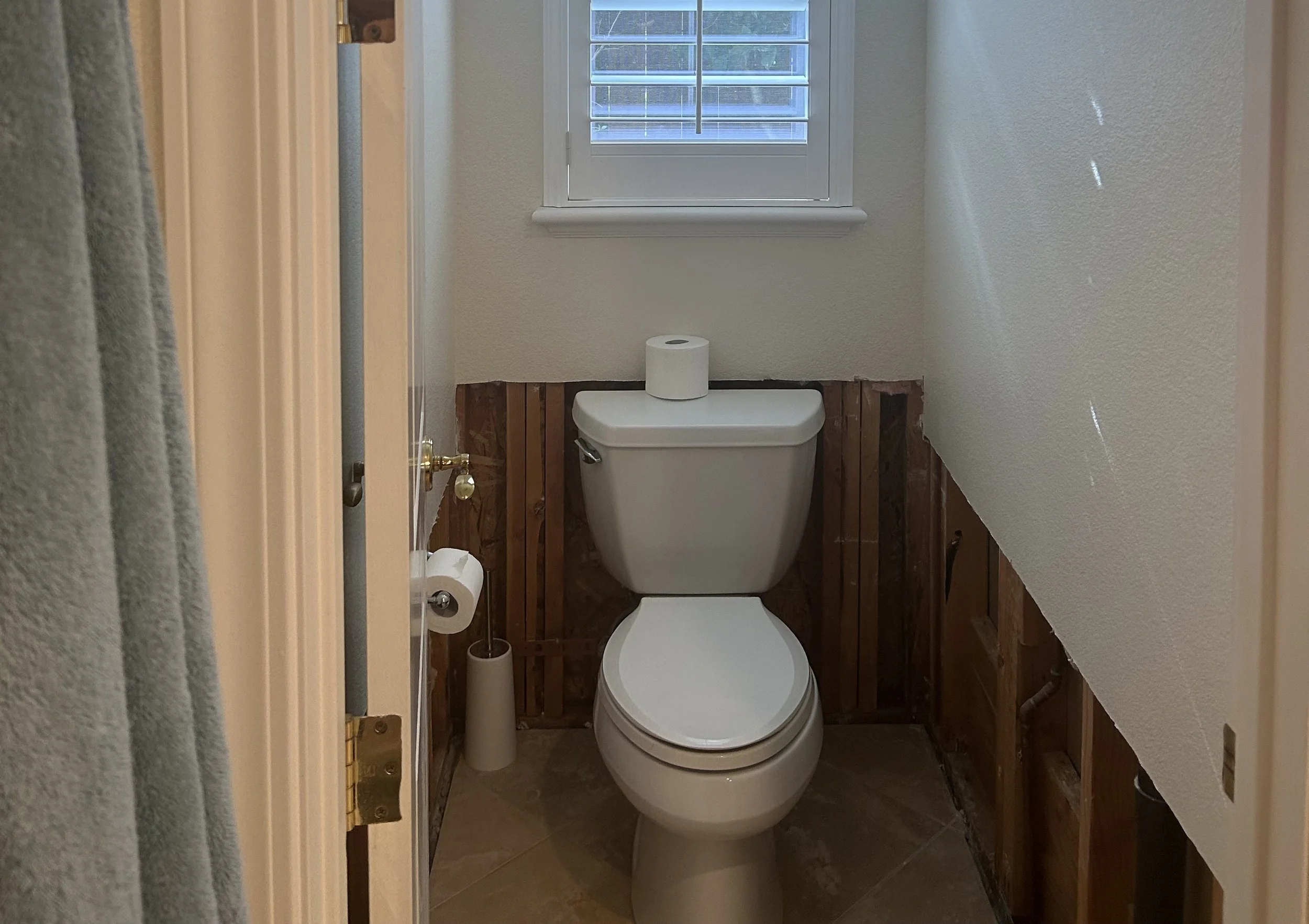 toilet.jpg
