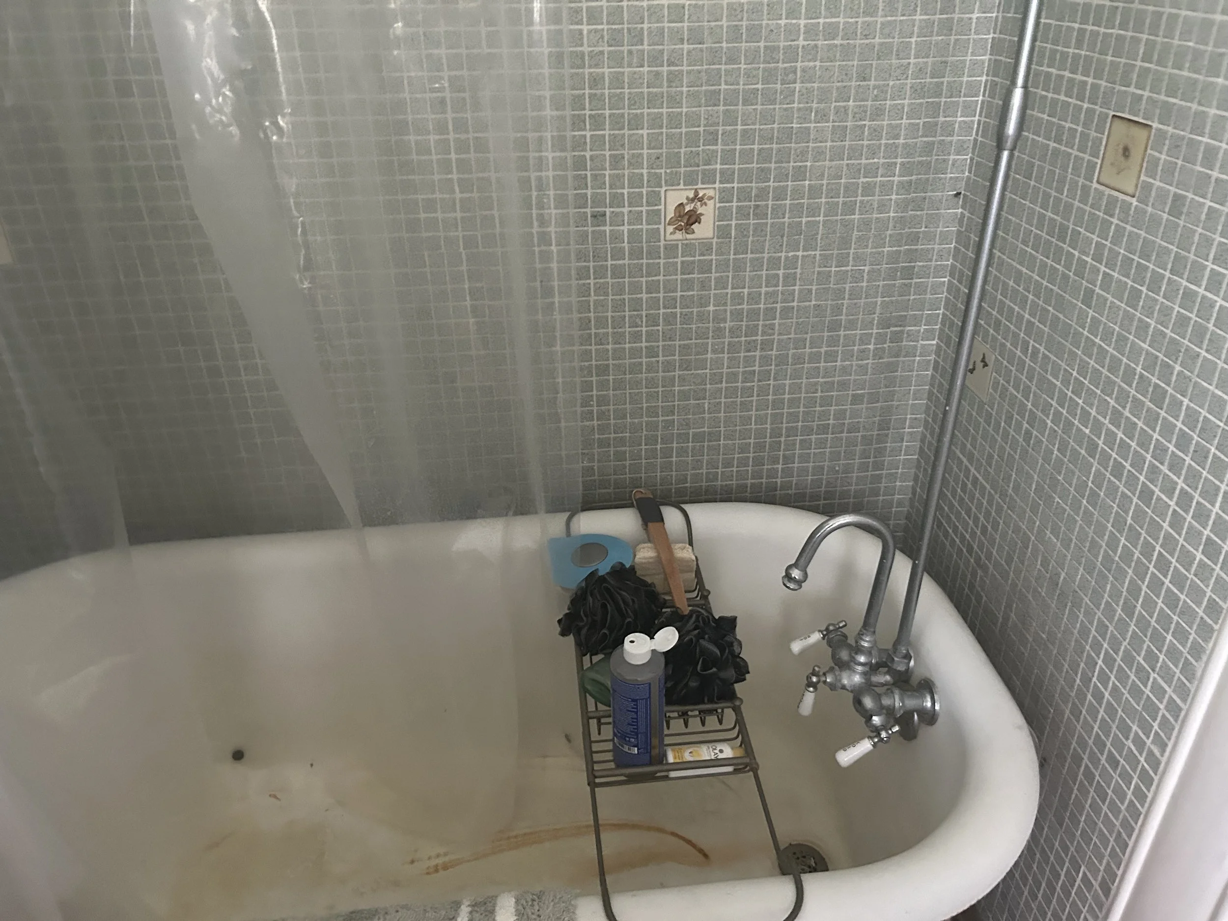 Photo May 21 2024, 3 39 55 PM.jpg