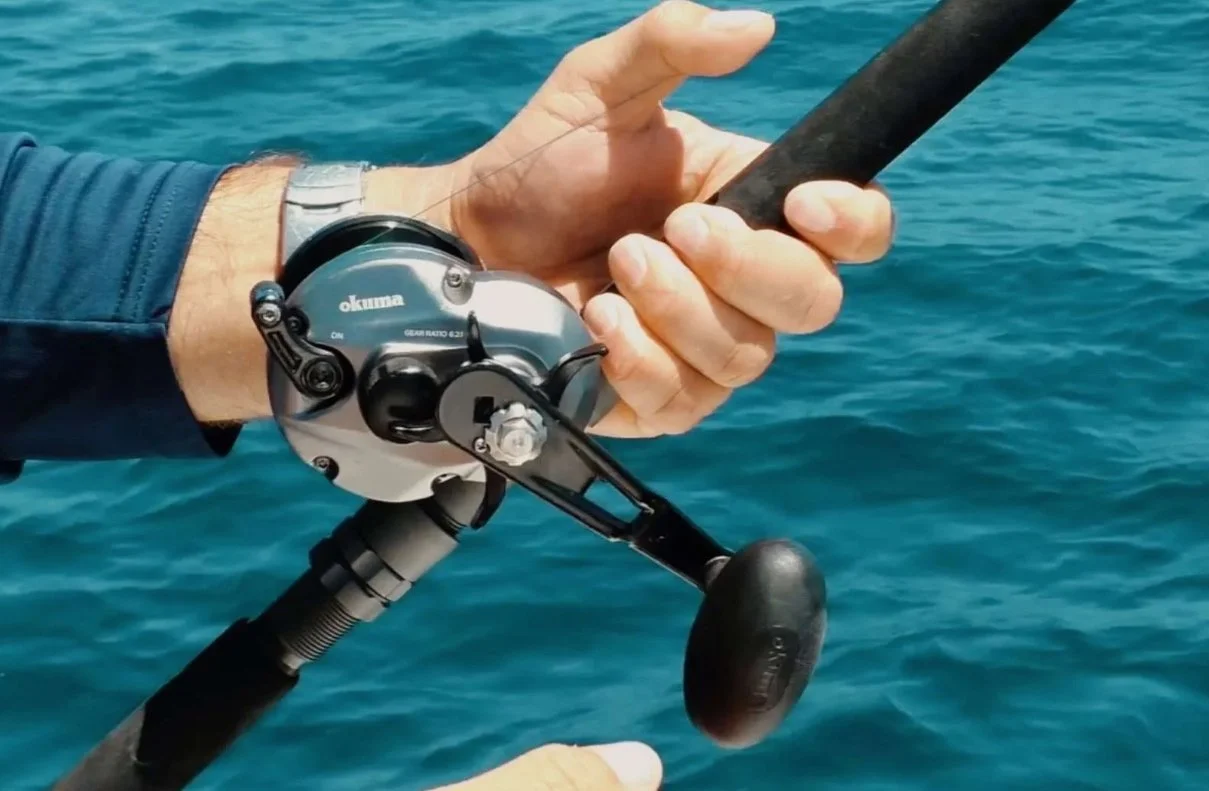 Screenshot 2024-02-25 4.26.38 PM.jpg