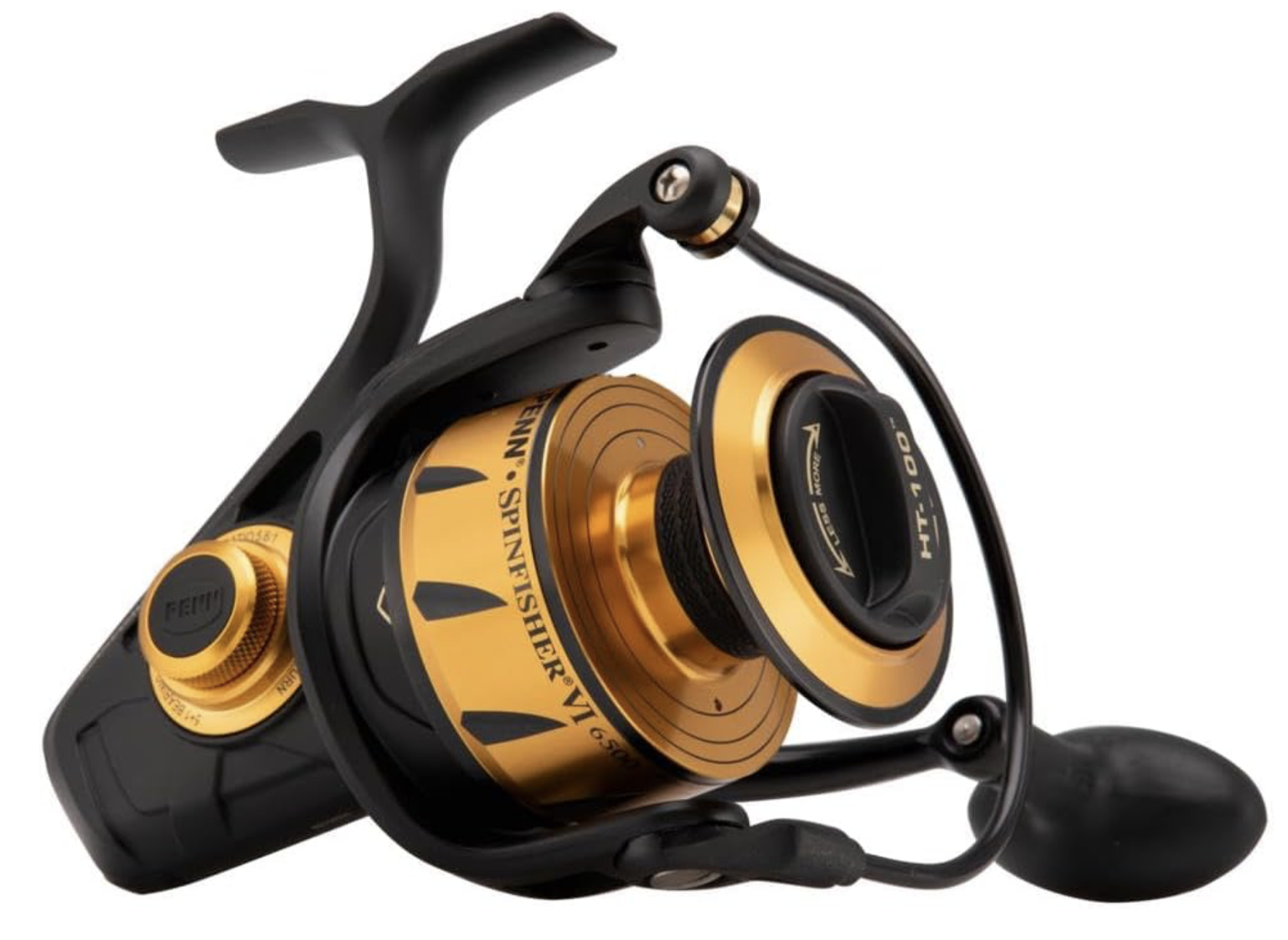 spinfishervi.png