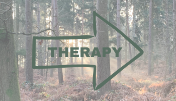 What to Expect in Your First Counselling Session: A Beginner’s Guide