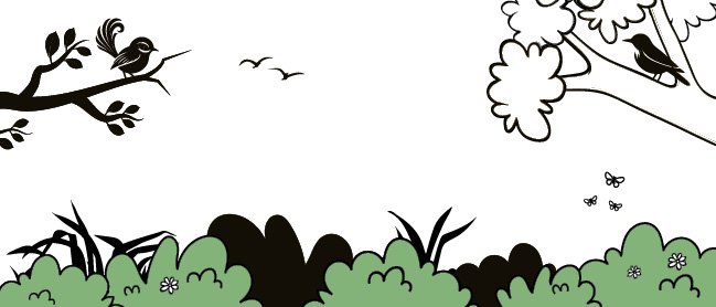 Riccarton_Park_Mockups.jpg