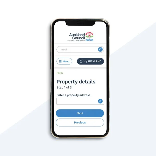 Accessibility and usability