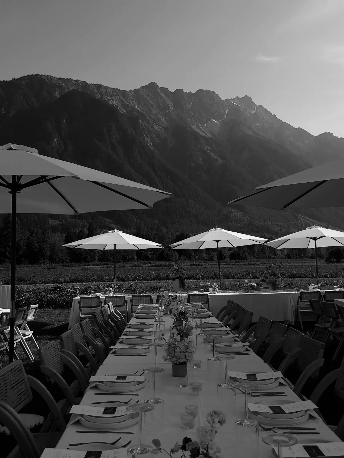 Set against the most beautiful mountain backdrop in Pemberton, BC, Alex &amp; Adam&rsquo;s wedding was filled with love, style, and intentional details. 

From the vibrant colour palette to handwritten notes for each guests who travelled near and far