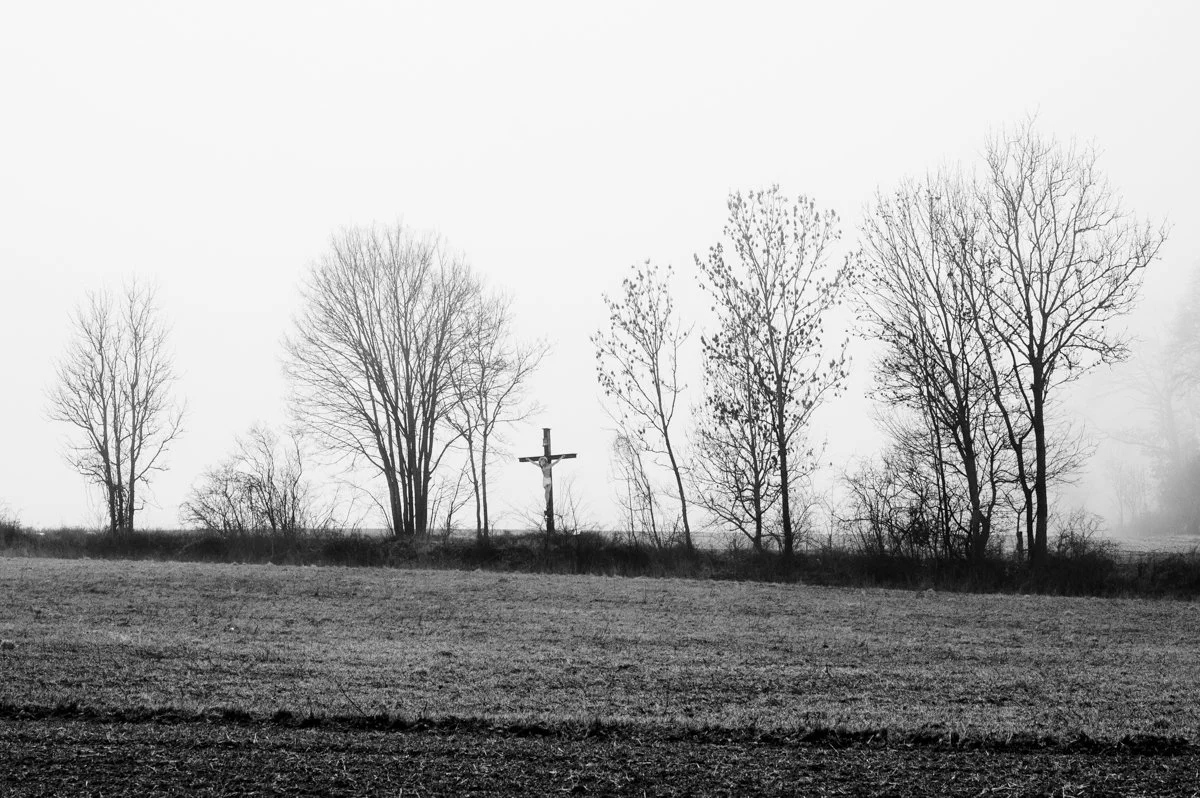 A Bleak Winter Walk