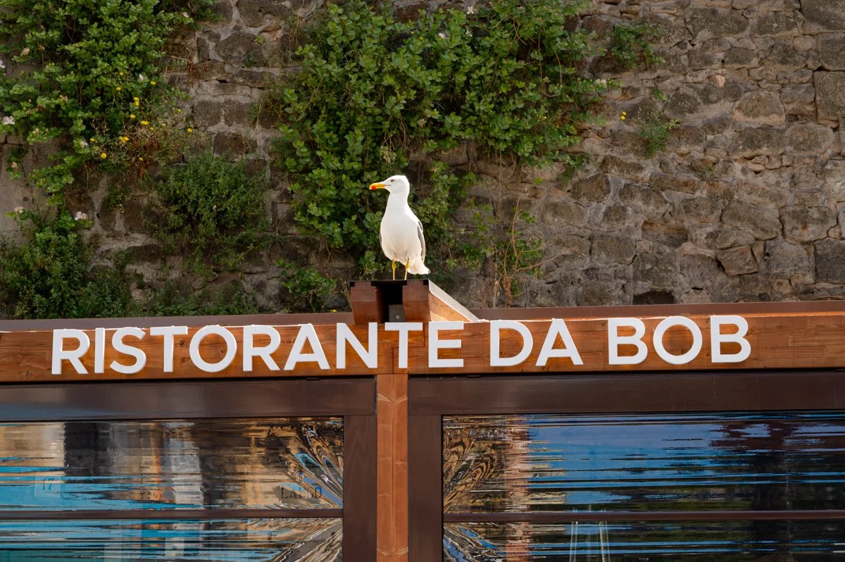Meta &amp; Sorrento