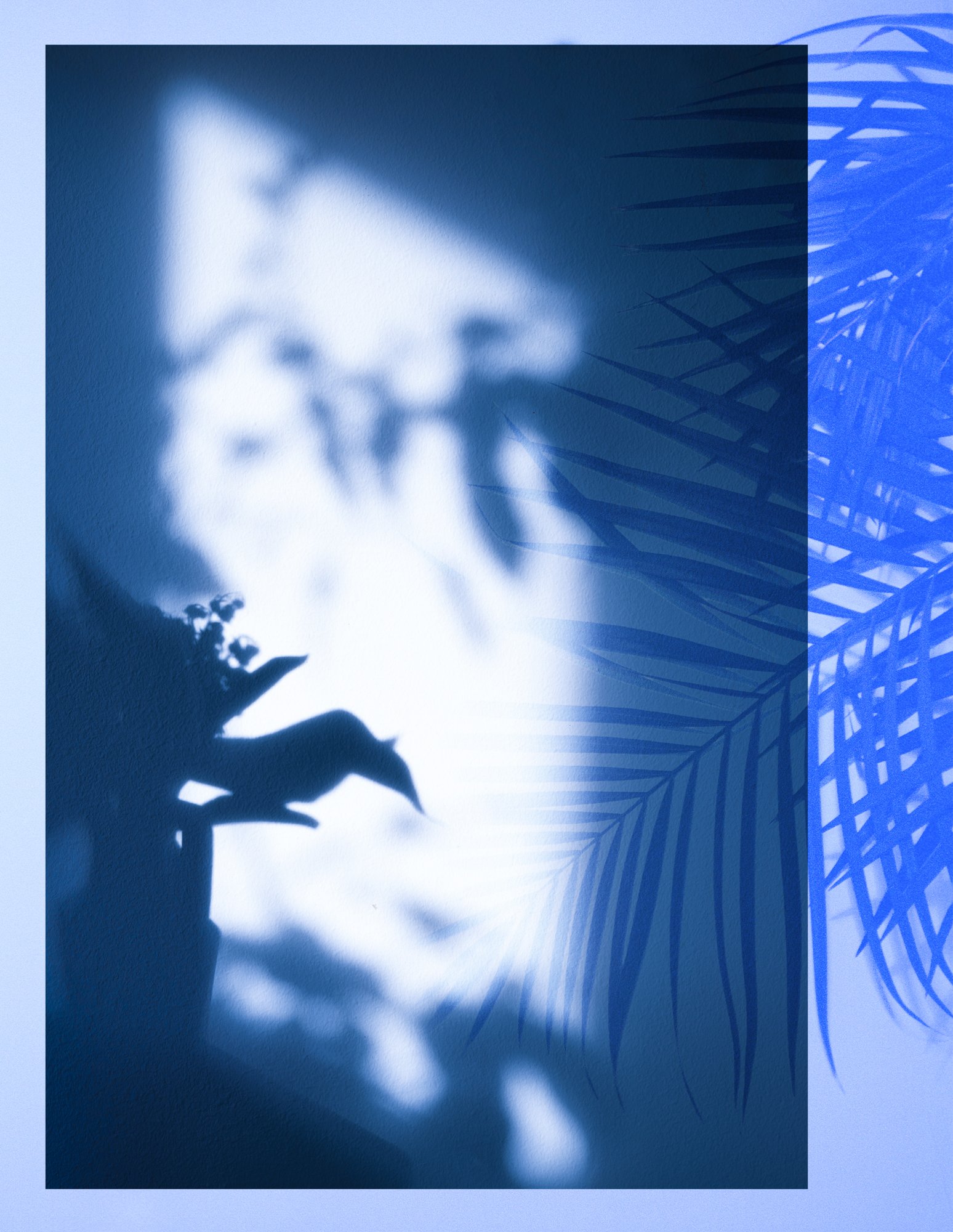 plants_composition_ single.jpg