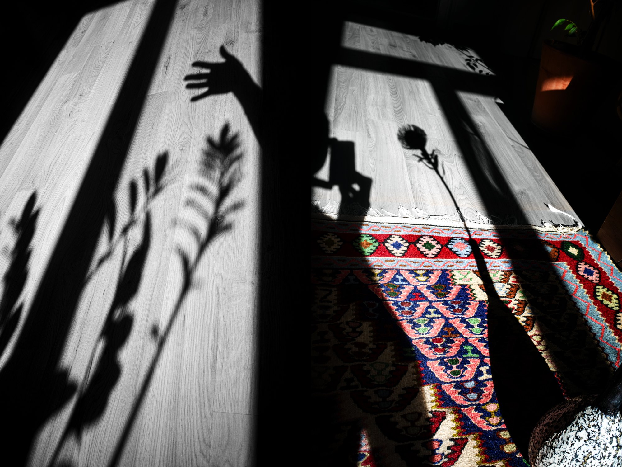 Window Shadow Selfie v2.jpg