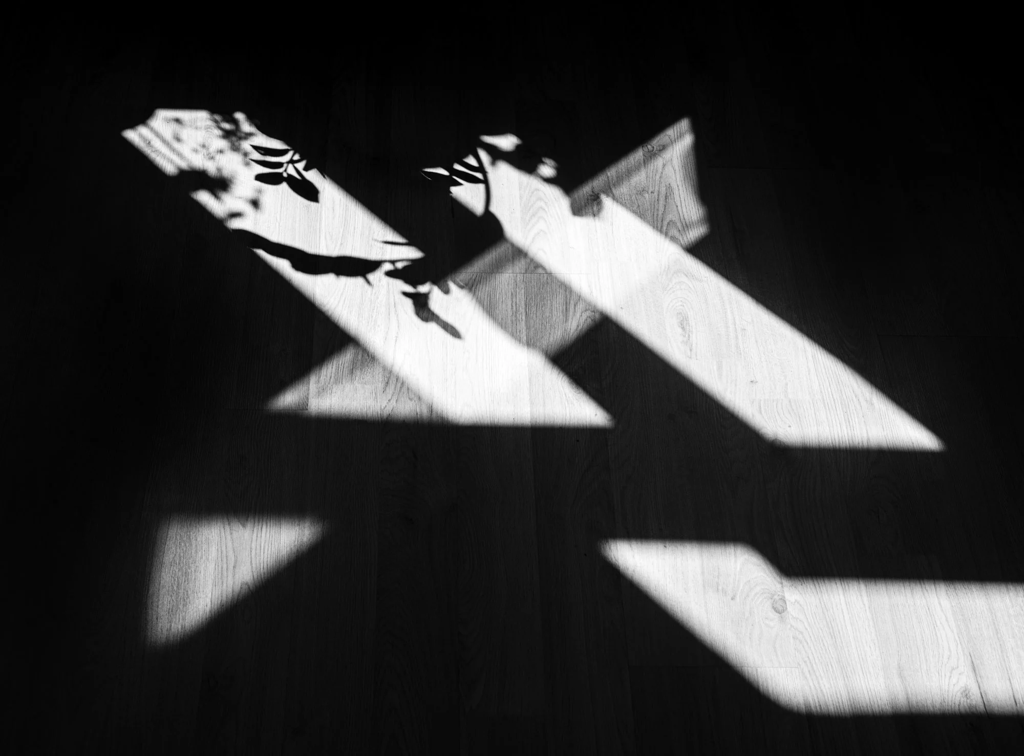 Window Shadow Simple_1.jpg