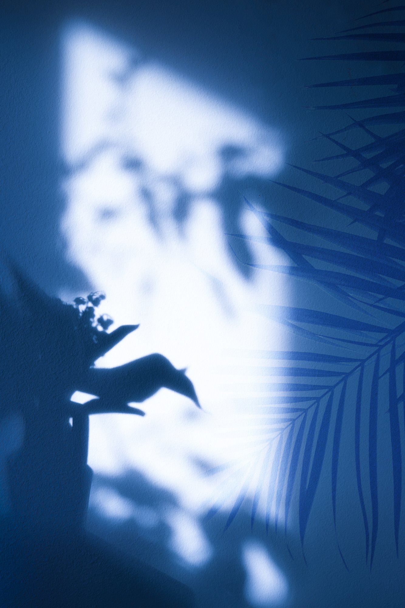 plants_composition_ single_noframe.jpg