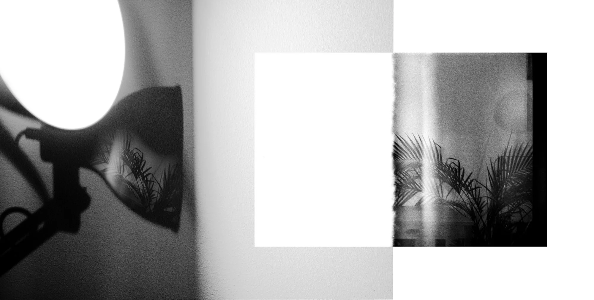 Light & Plants Diptypch V1_1.jpg