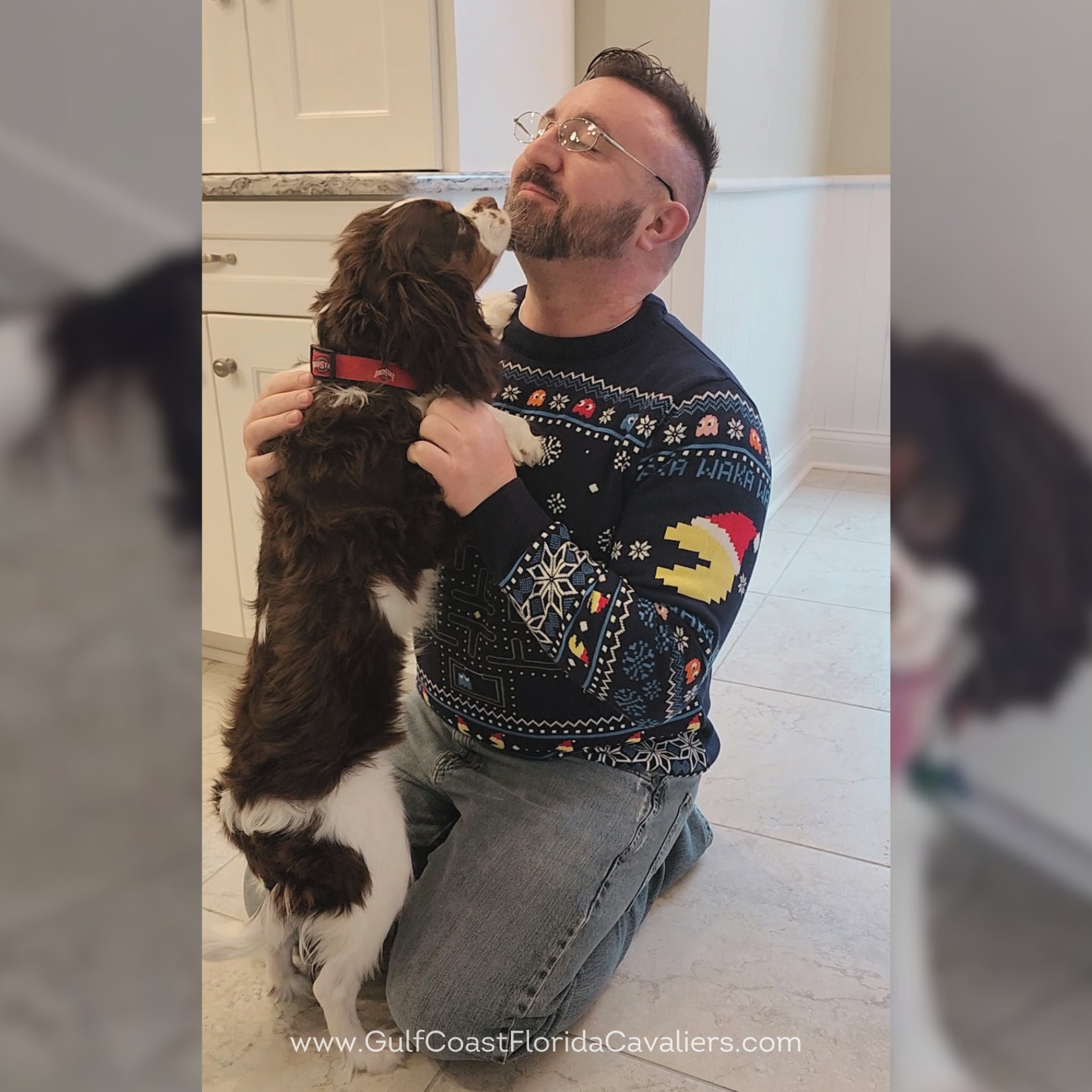 florida-dog-breeder-puppy-loves-owner