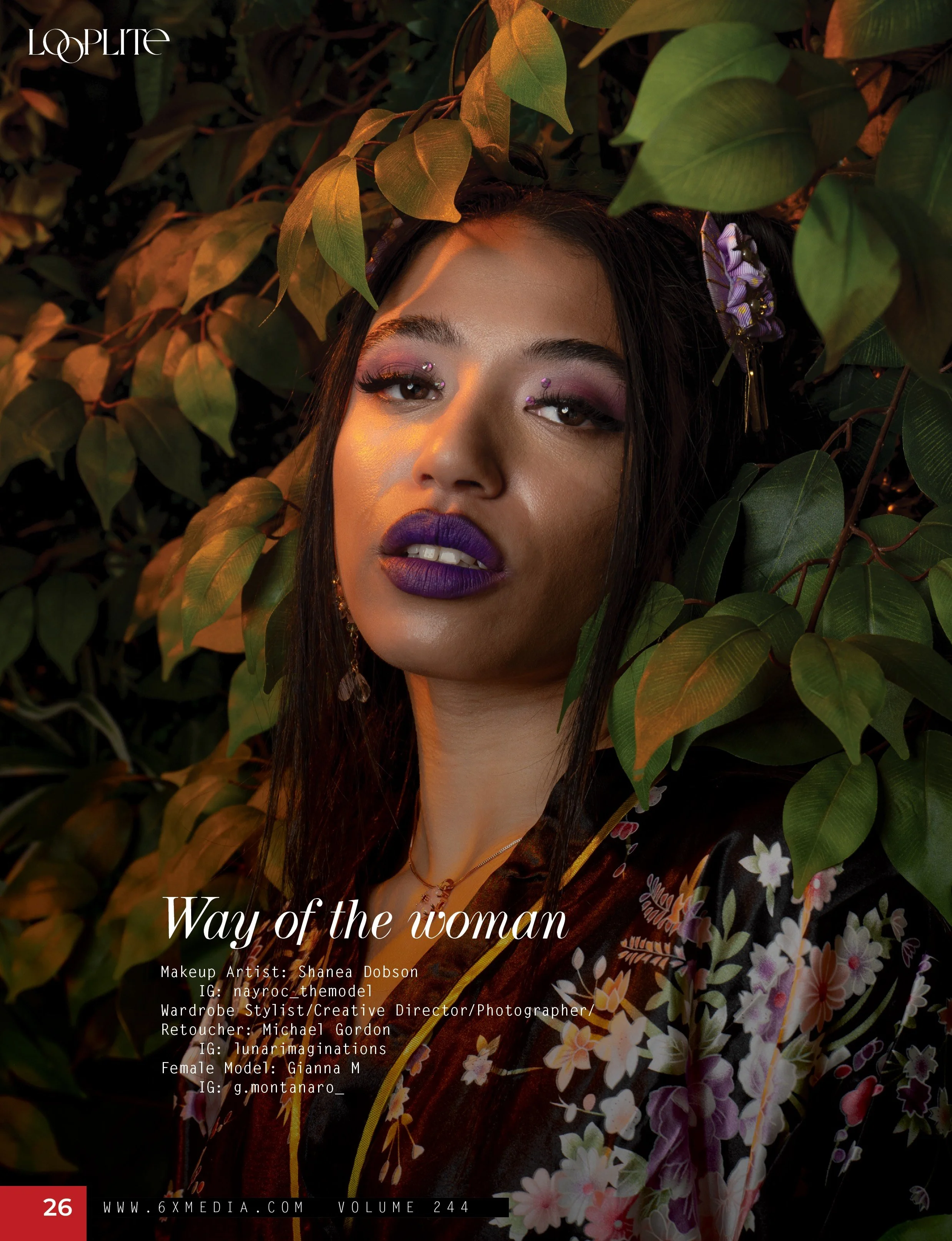 Looplite Vol 244_26.jpeg