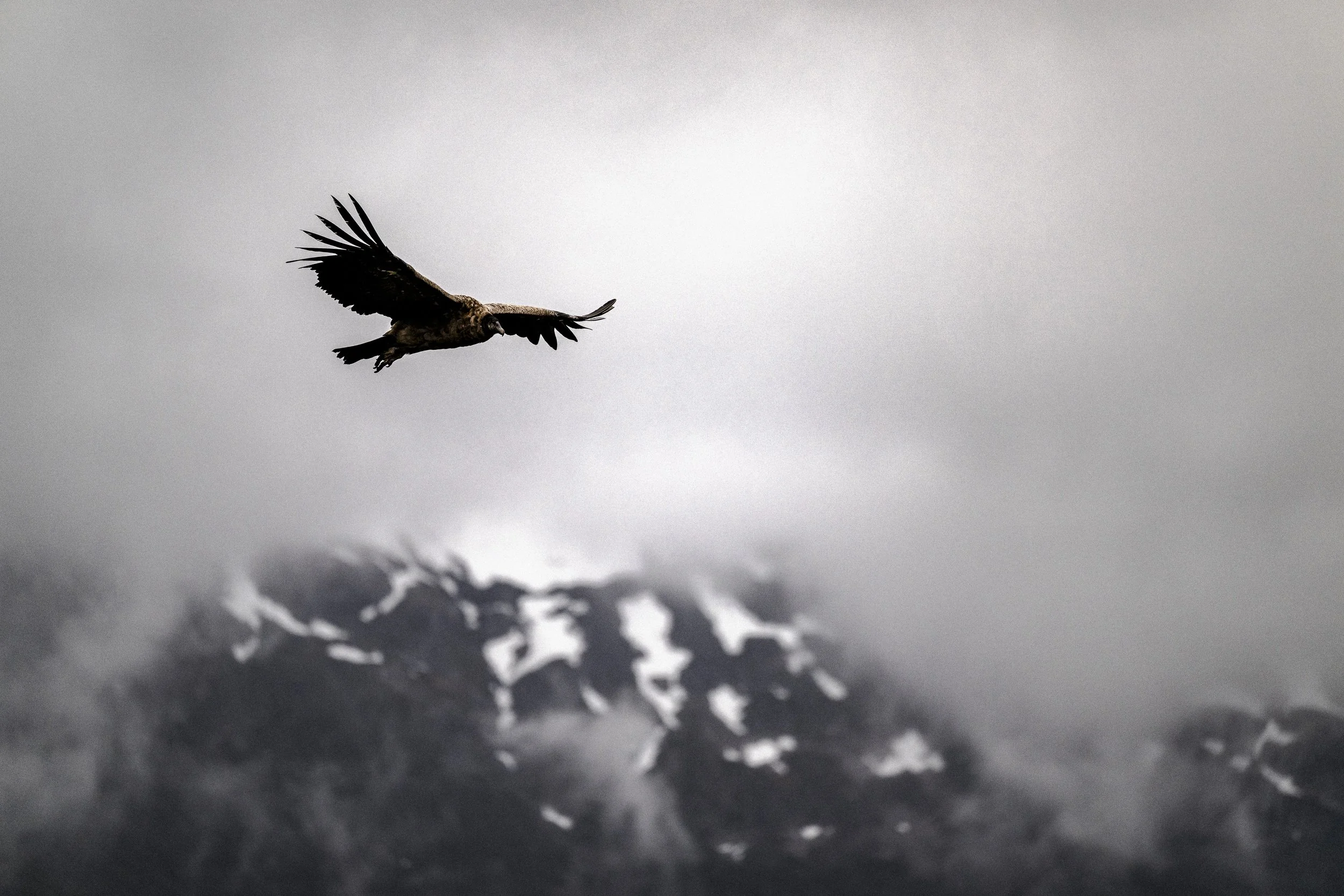 Eleven_RioPalenaLodge-1047.jpg