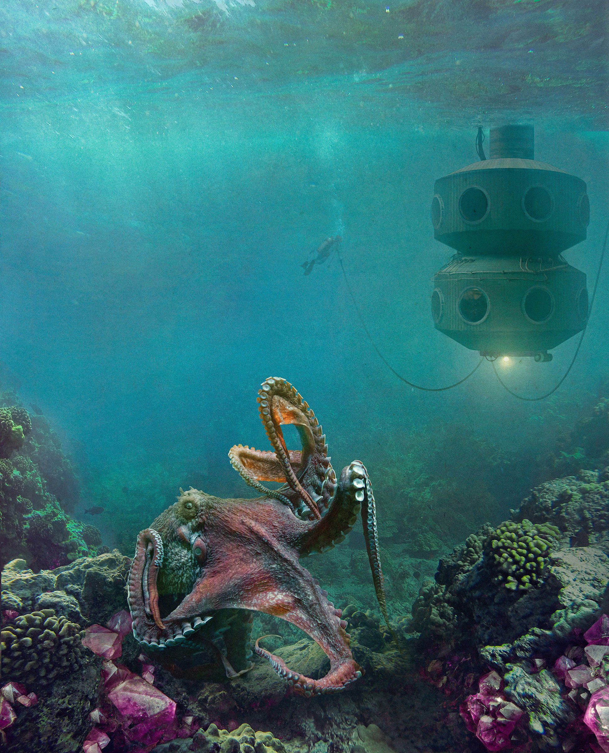 Baxter_Project_Astoria_octopus_outpost_web.jpg