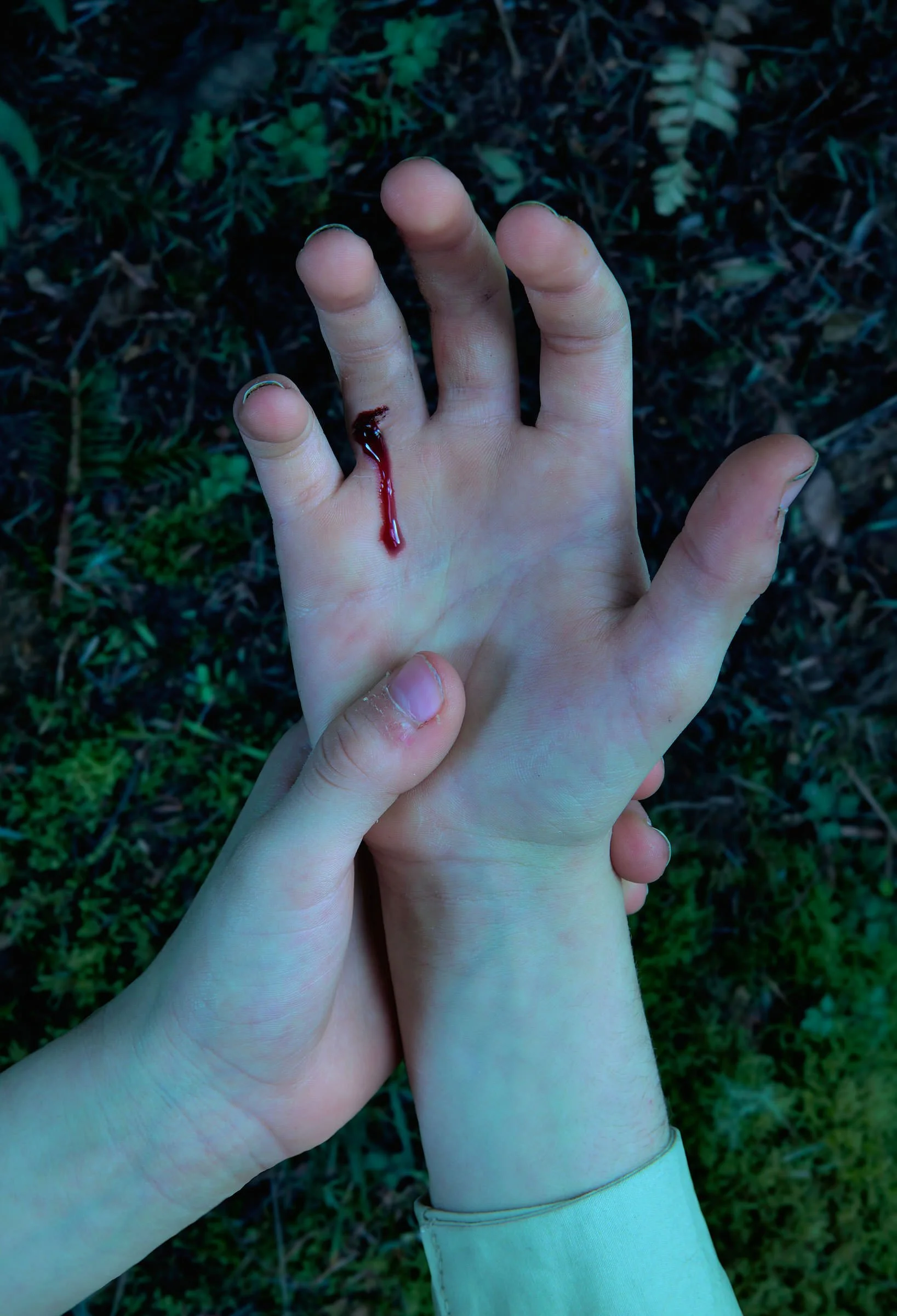 Challenge 1: Owl Burrow "Bit Hand"