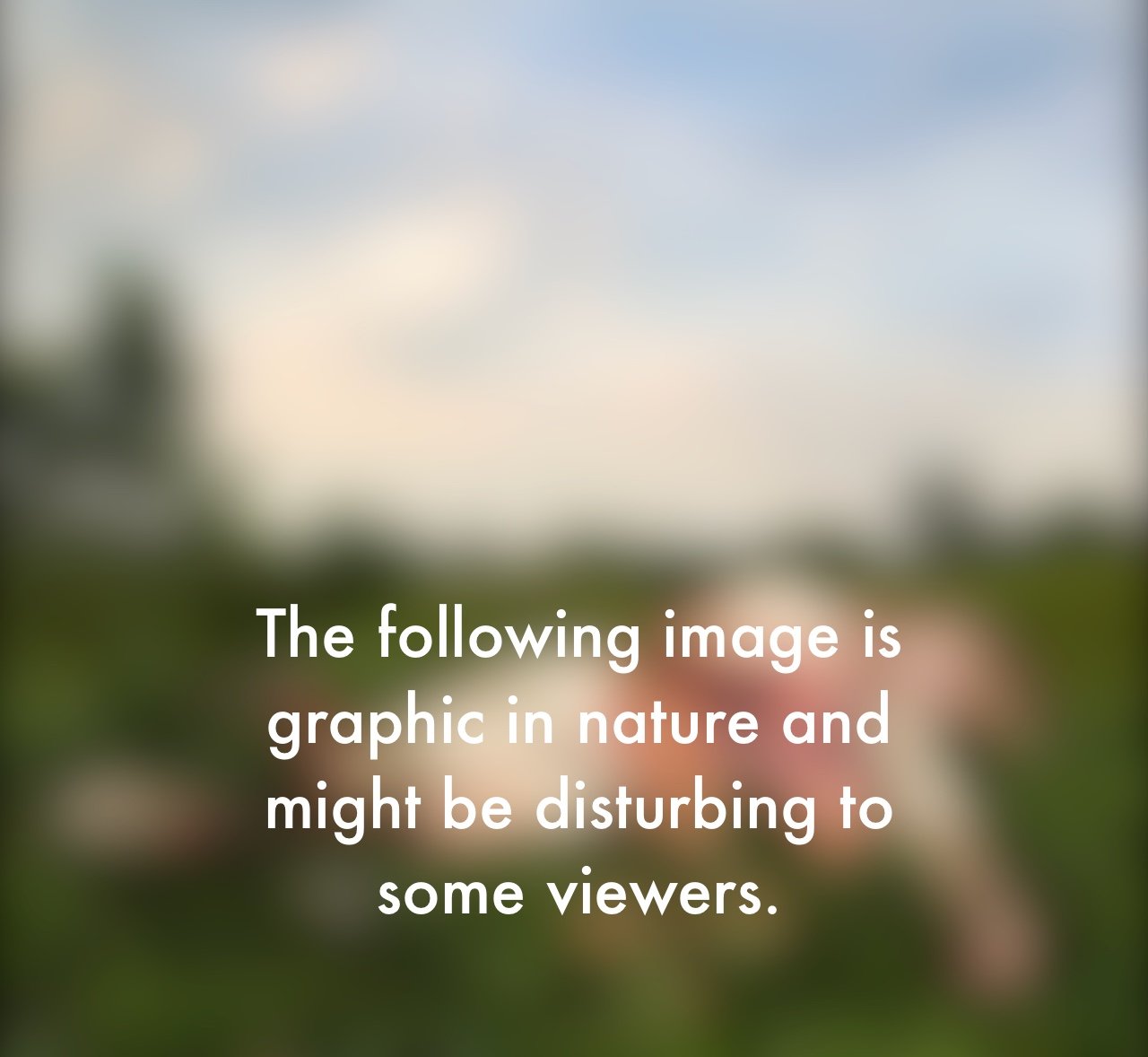 mauled_warning.jpeg
