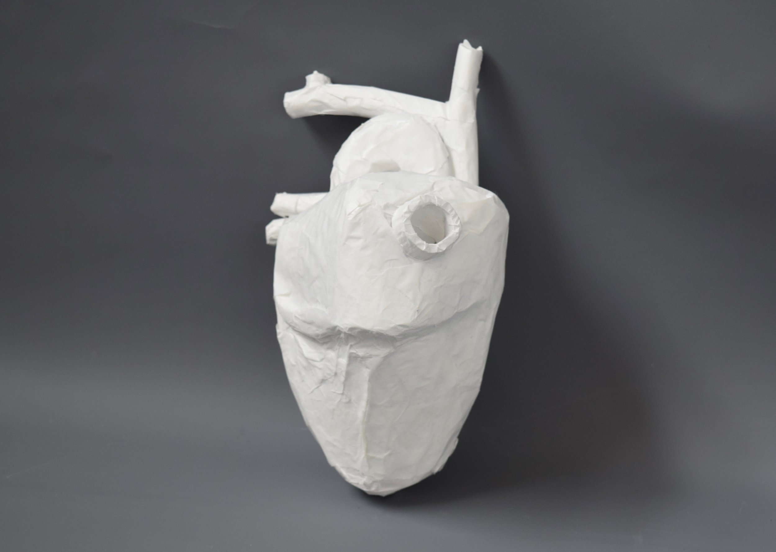 something difficult to obtain, heart. foam core and paper maché