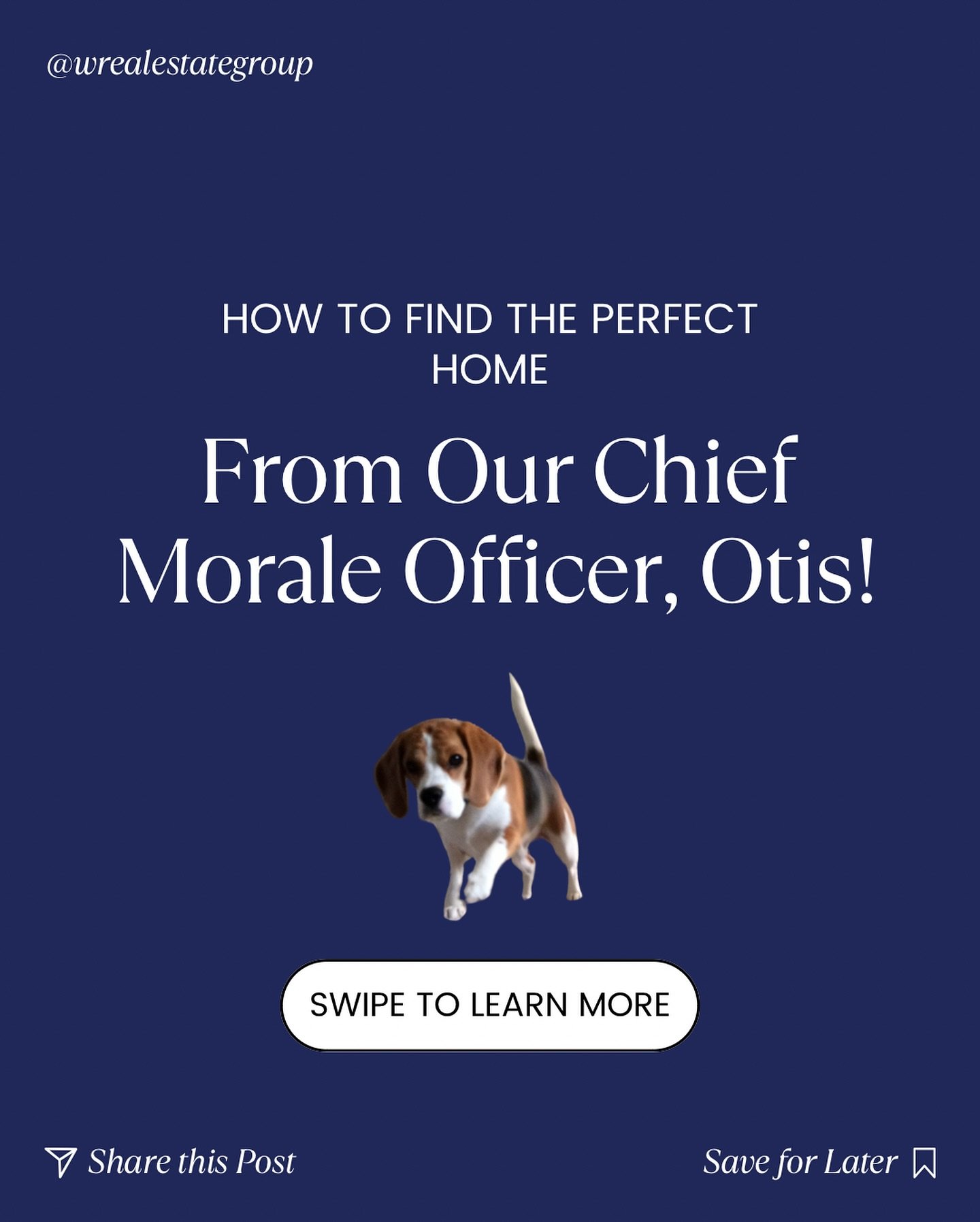 Looking to make your next real estate move a success? Swipe through for the 4 tips from our Chief Morale Officer that every homebuyer should know! Whether you&rsquo;re a first-timer or a seasoned pro, Otis&rsquo; tips will help you find the perfect p