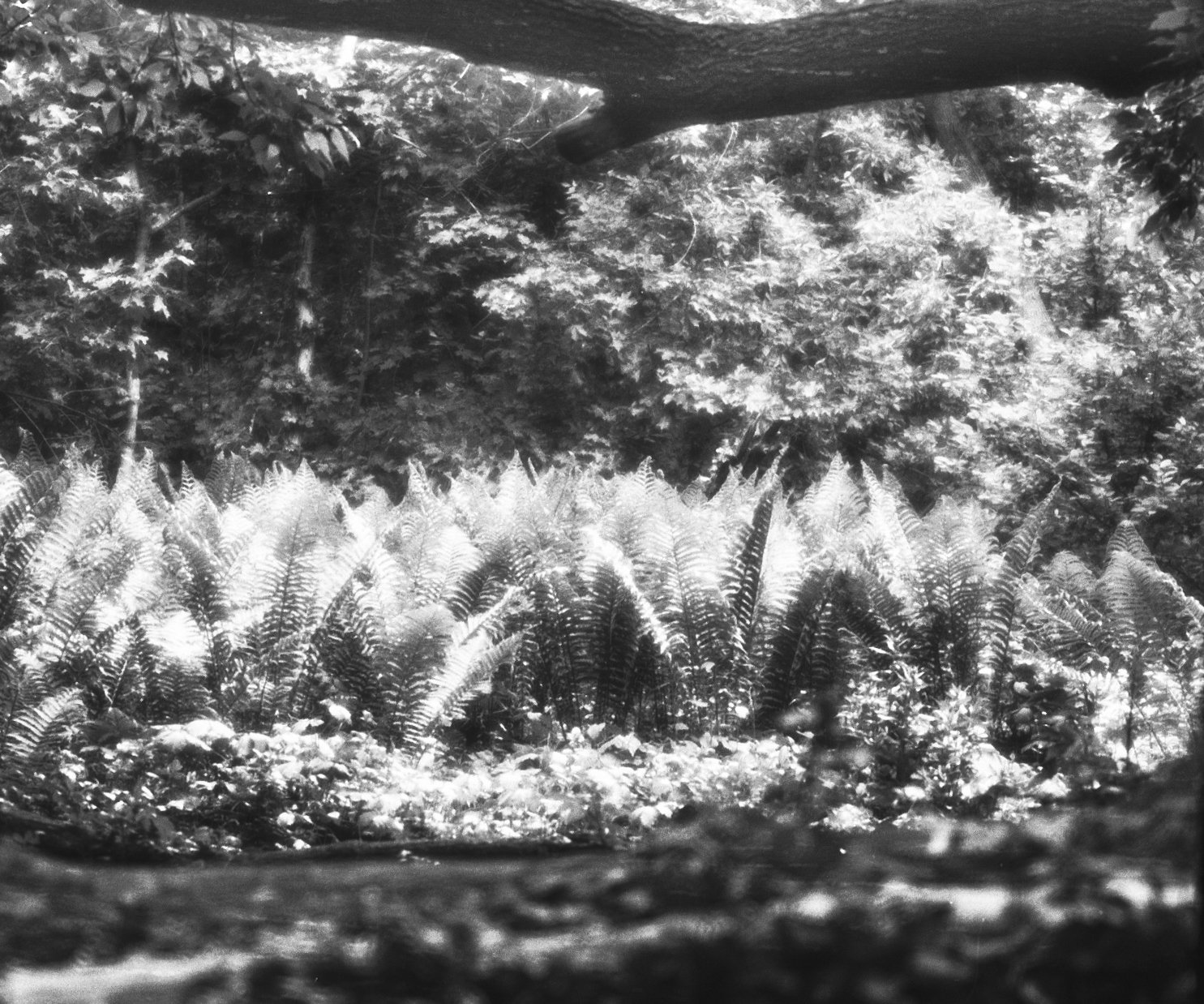 009--004-19.jpg
