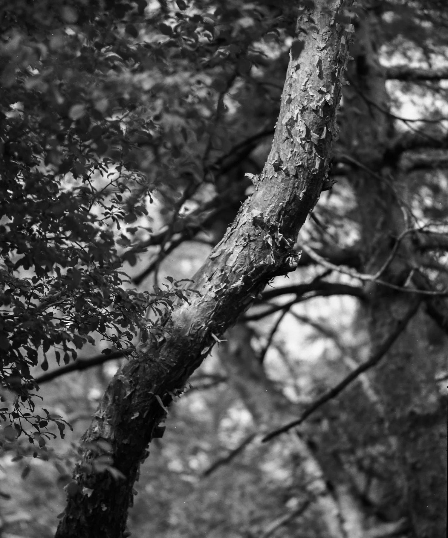 009--004-14.jpg