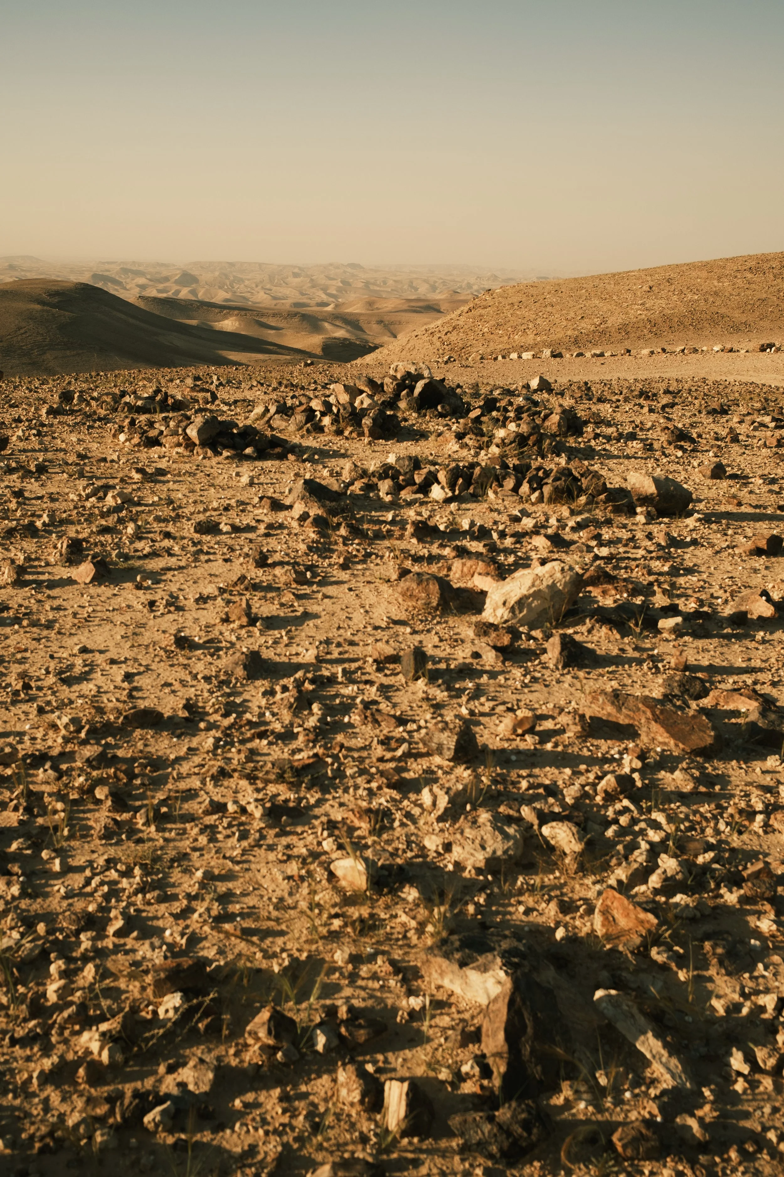 009--004-9.jpg
