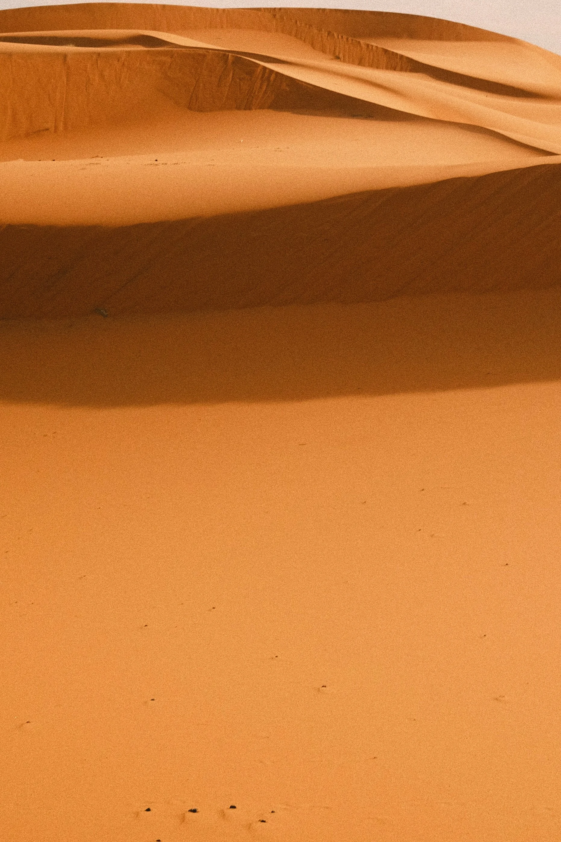 009--004-10.jpg