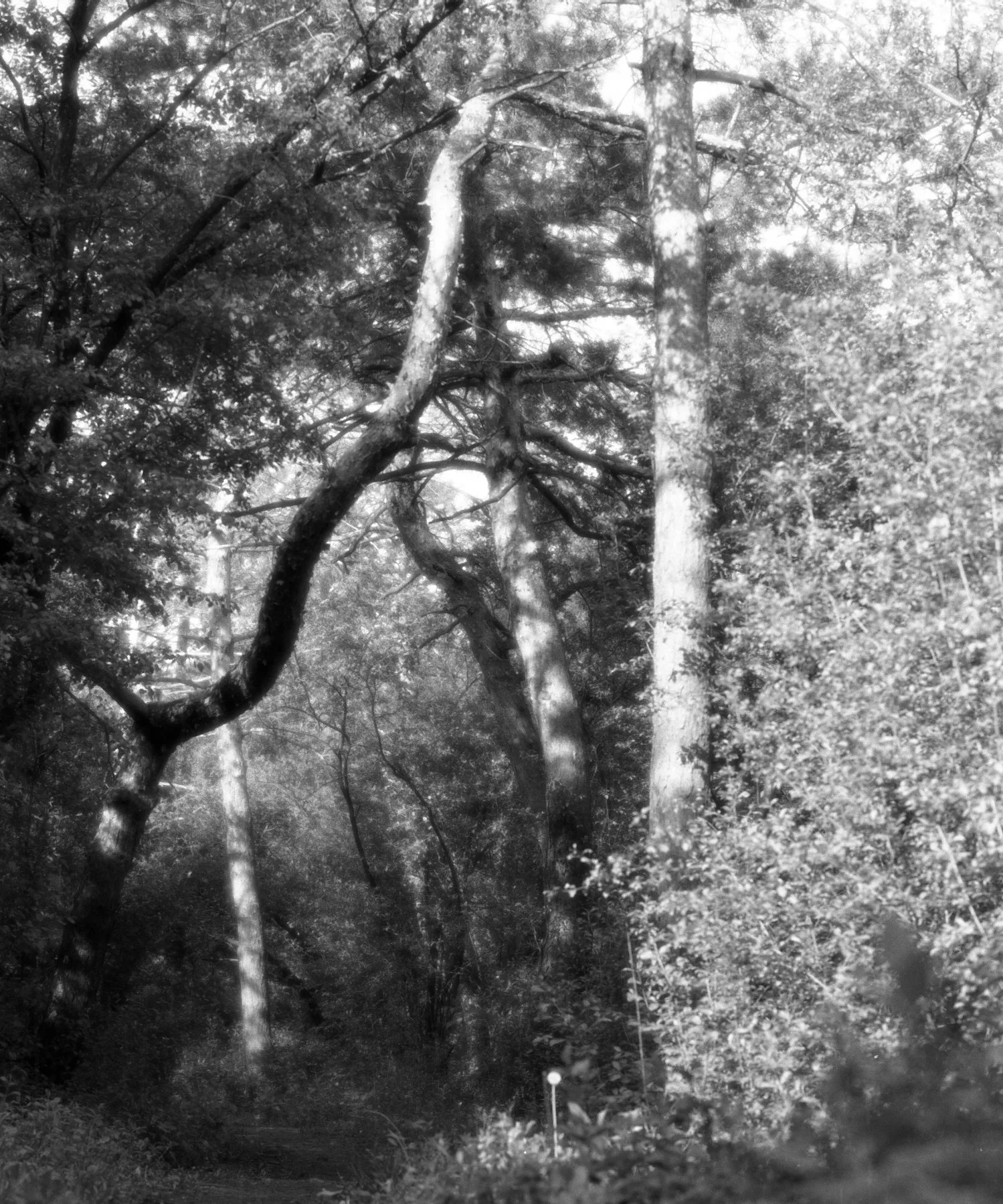 009--004-20.jpg